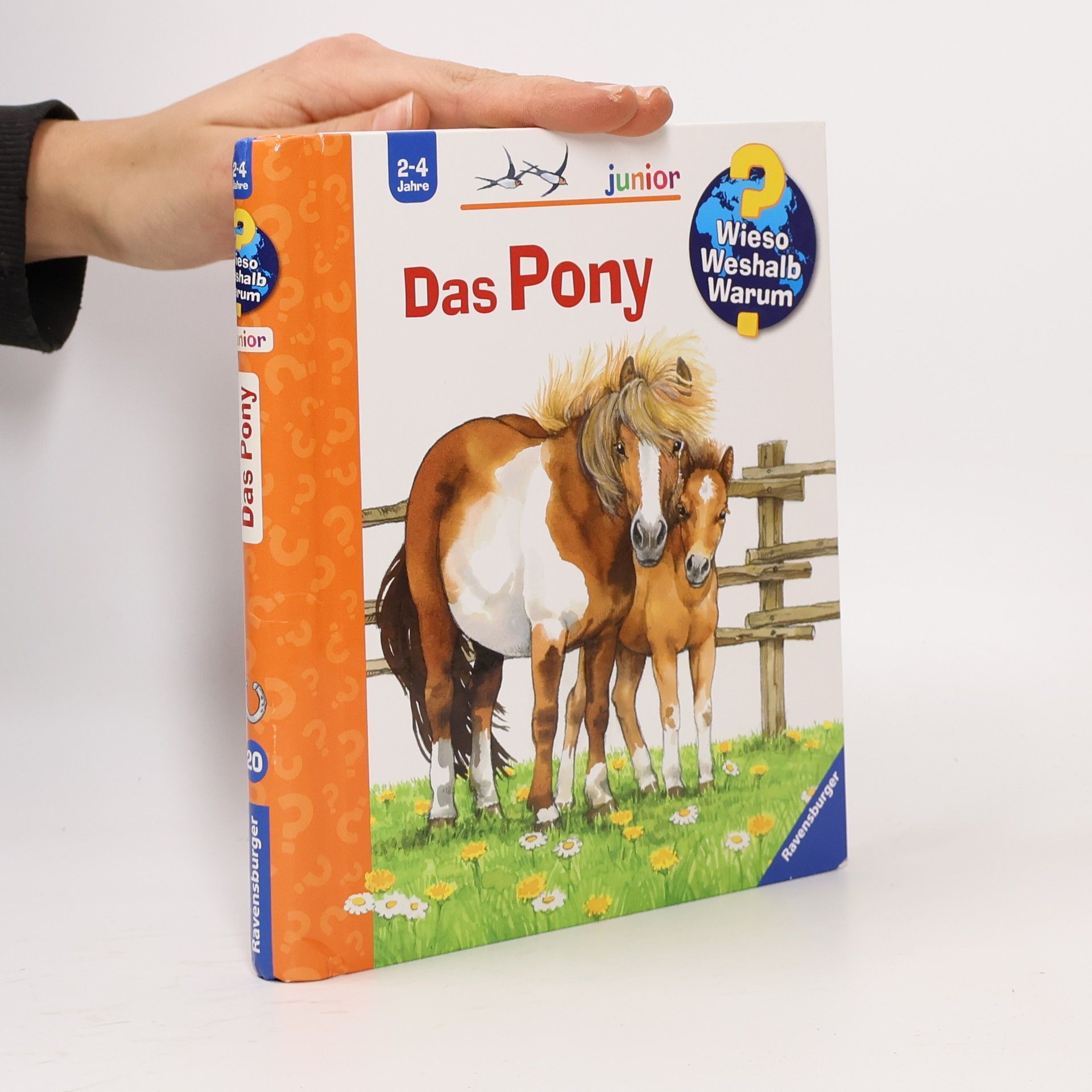 Das Pony