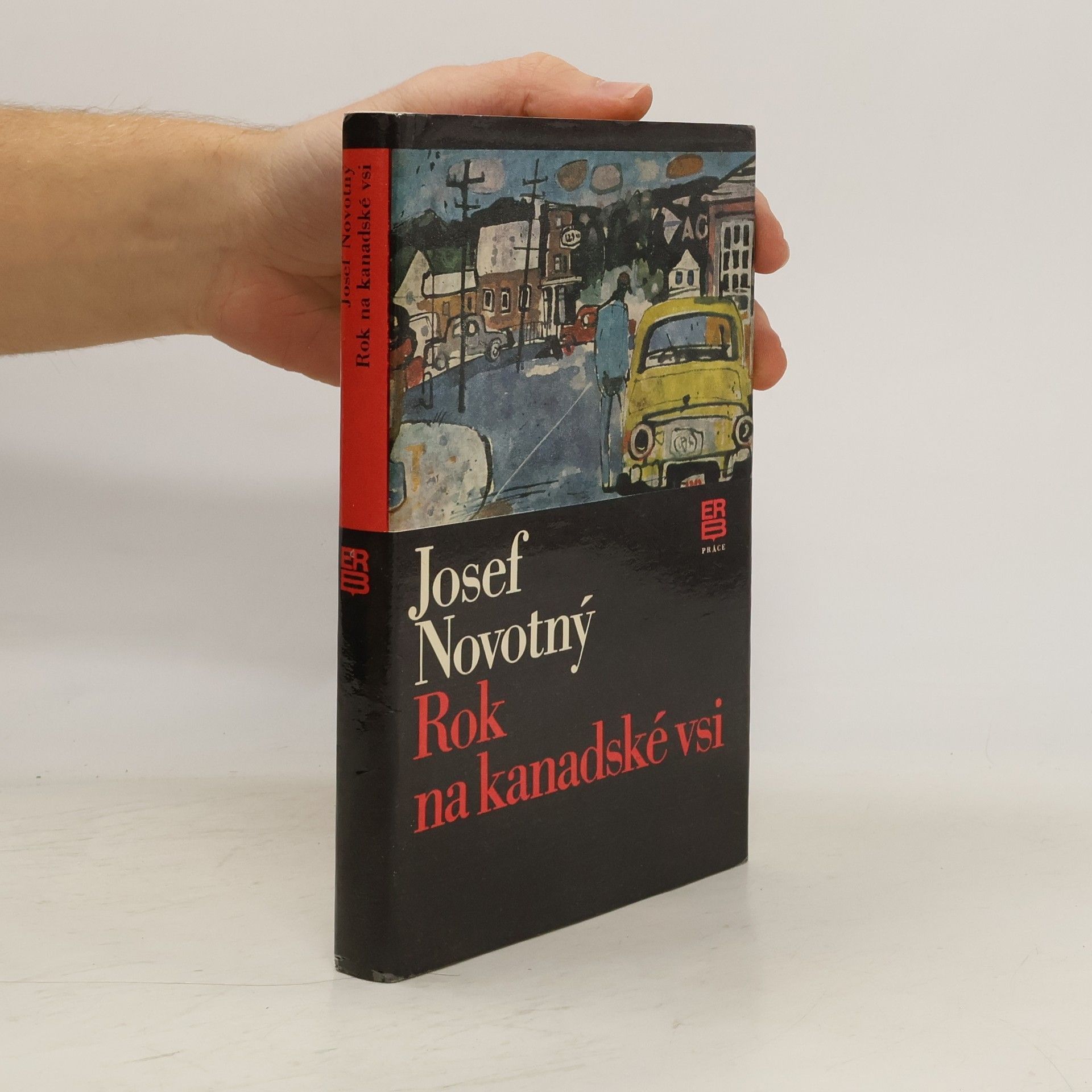 Rok na kanadské vsi