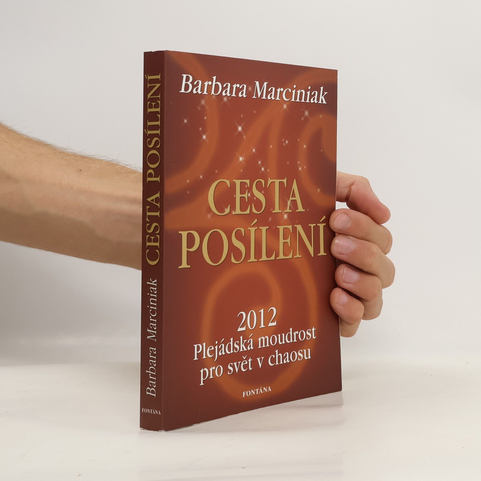 Barbara Marciniak Cesta posílení. Plejádská moudrost pro svět v chaosu