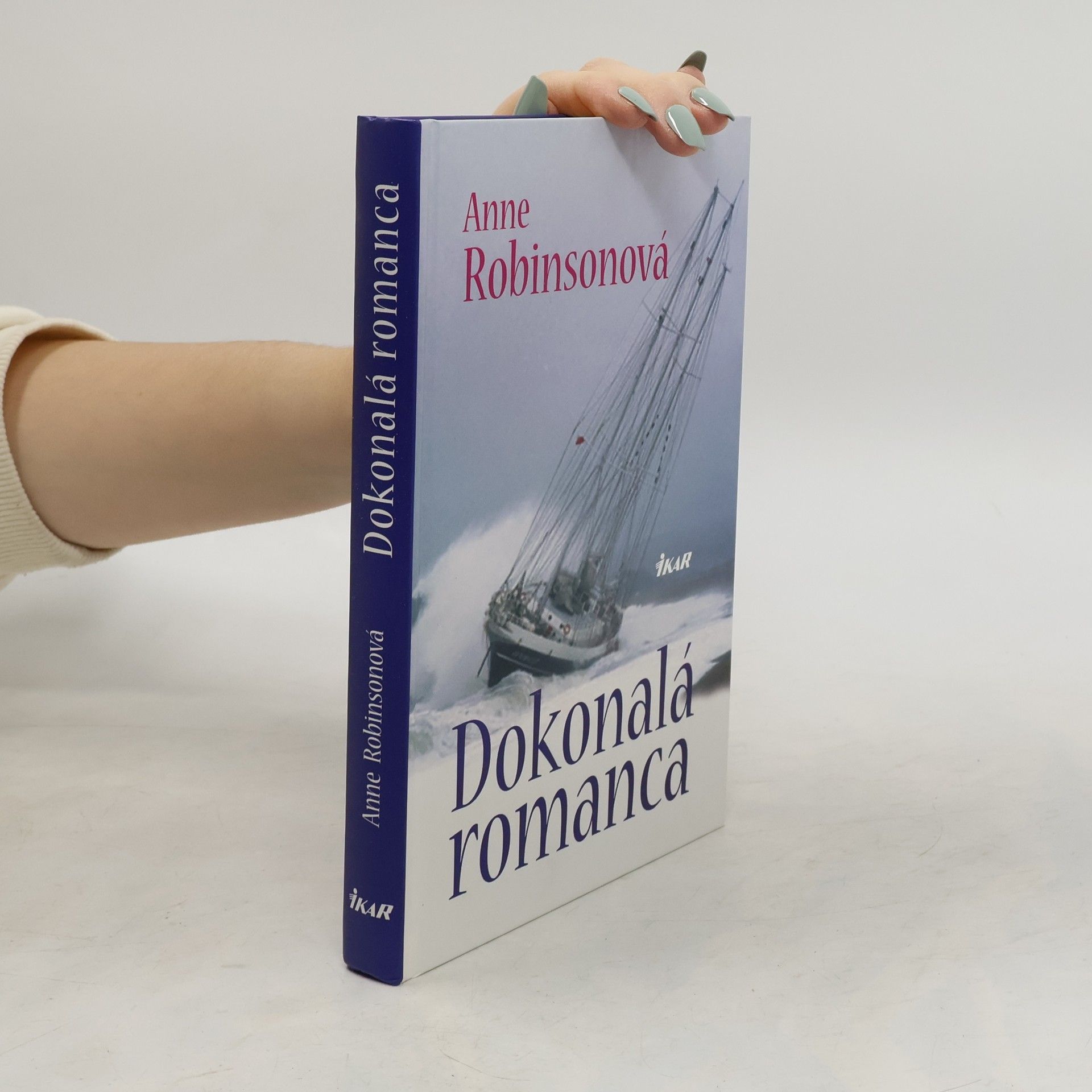 Anne Robins Dokonalá romanca