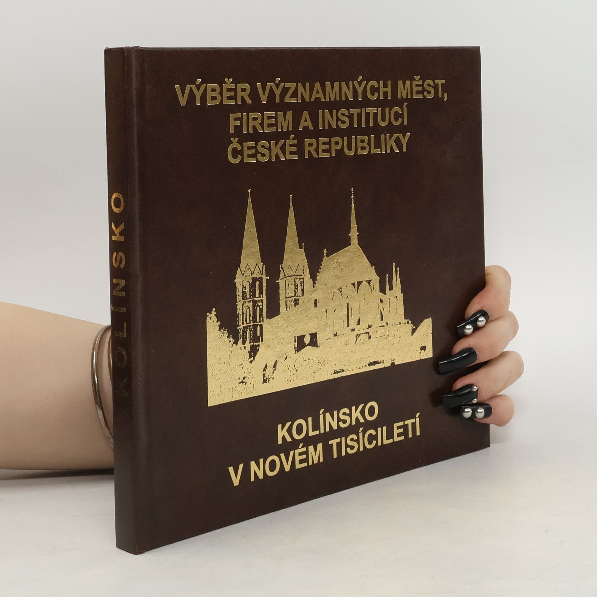 Autores varios Výběr významných měst, firem a institucí České republiky