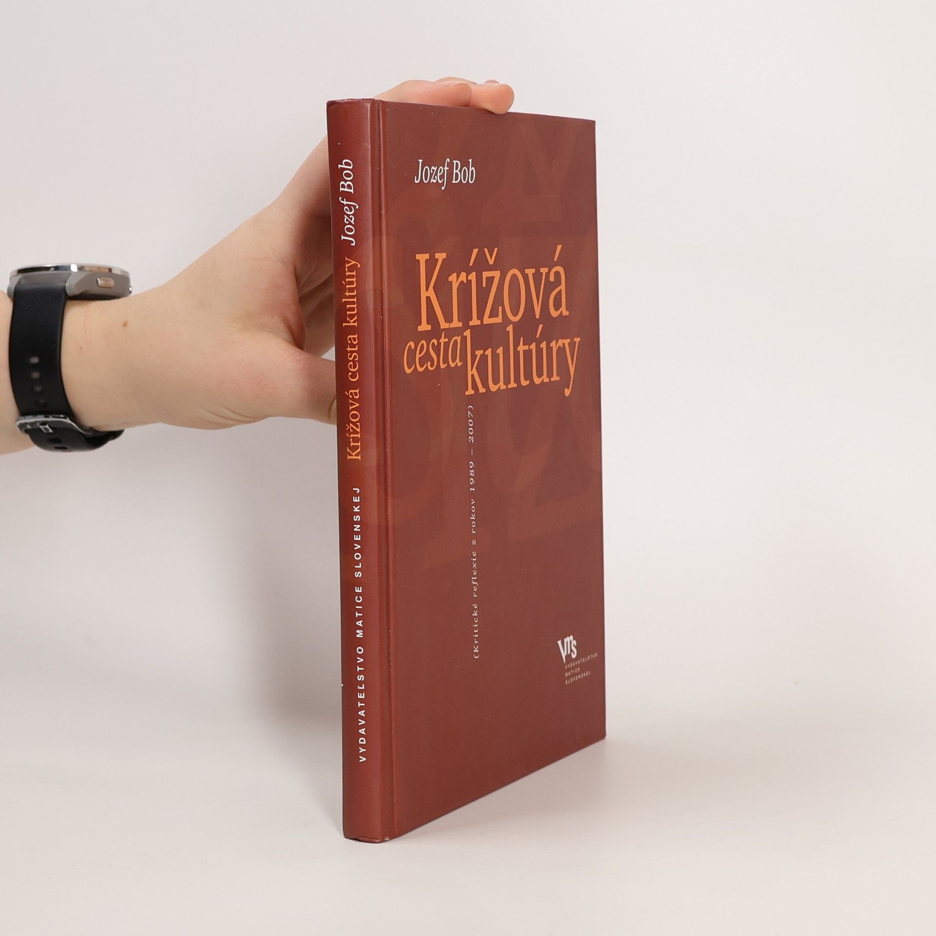 Jozef Bob Krížová cesta kultúry (kritické reflexie z rokov 1989-2007)