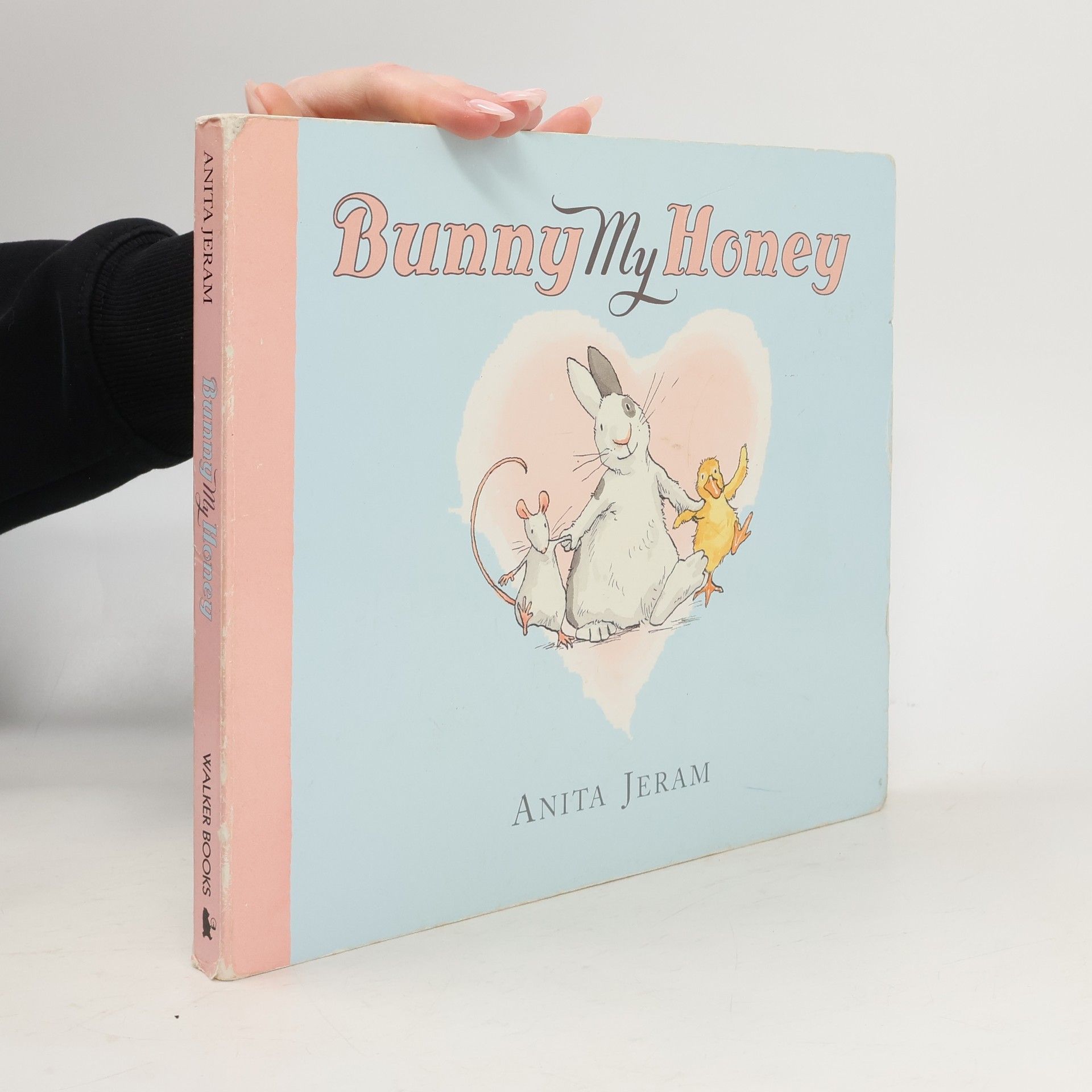 Anita Jeram Bunny My Honey