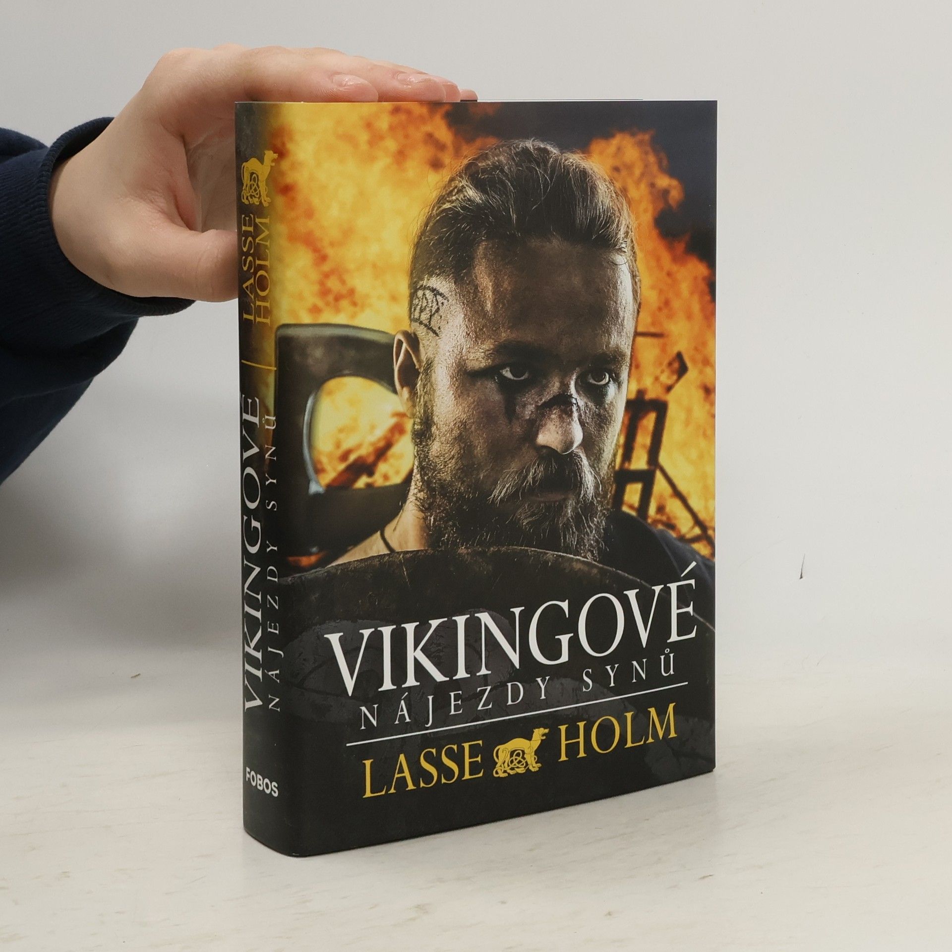 Lasse Holm Vikingové. Nájezdy synů