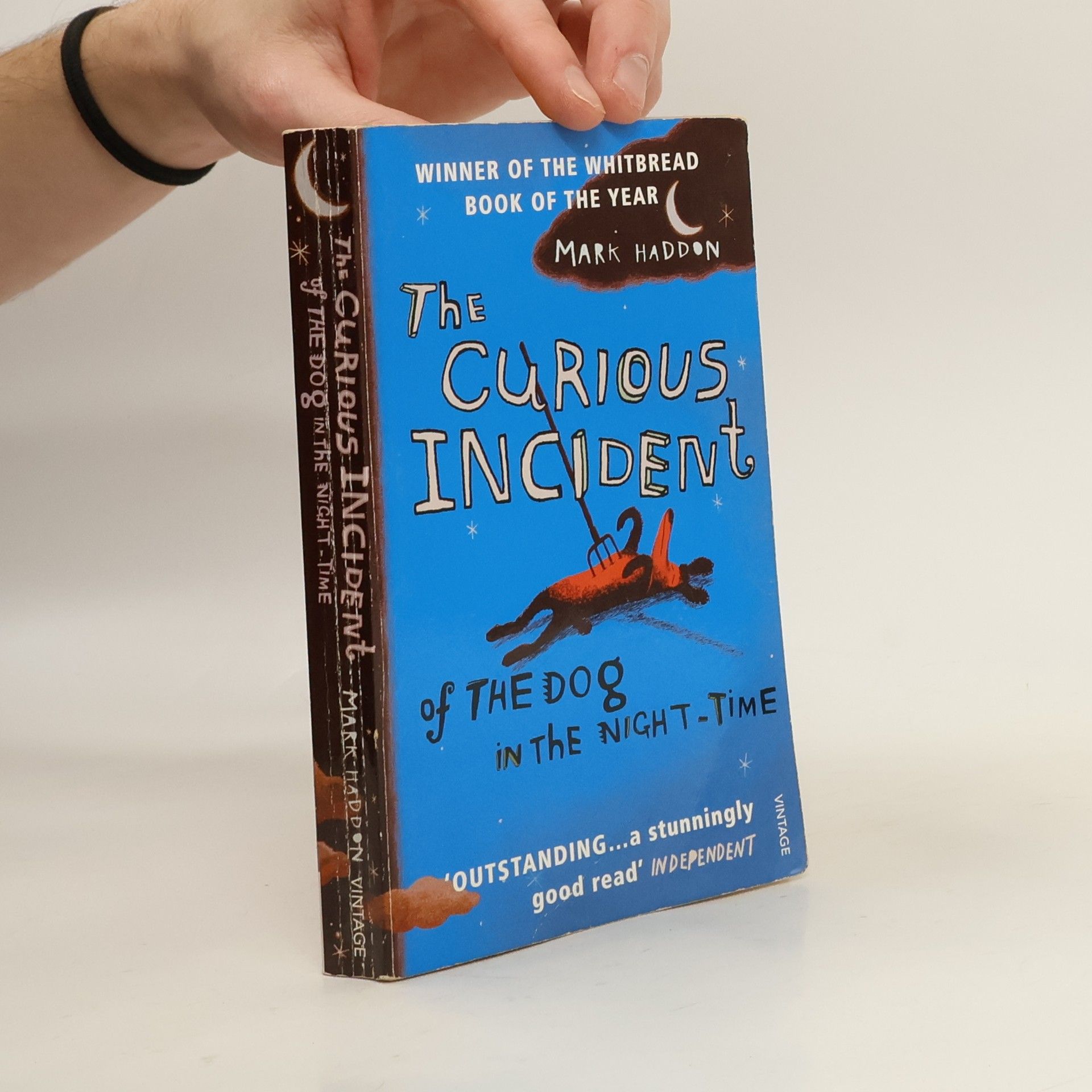 Mark Haddon The Curious Incident of The Dog in The Night-Time