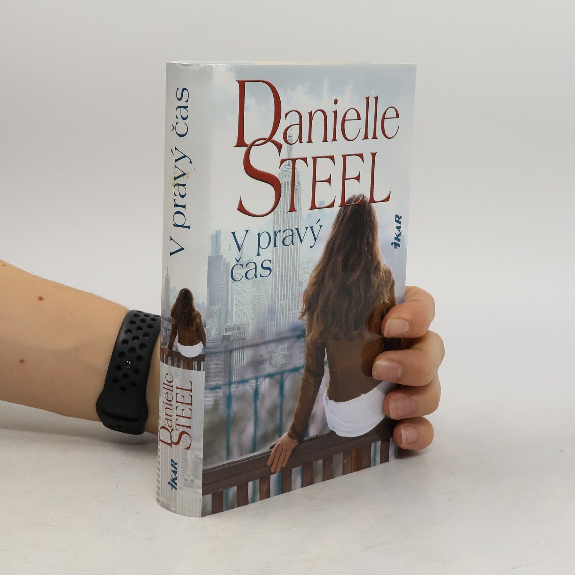 Danielle Steelová V pravý čas