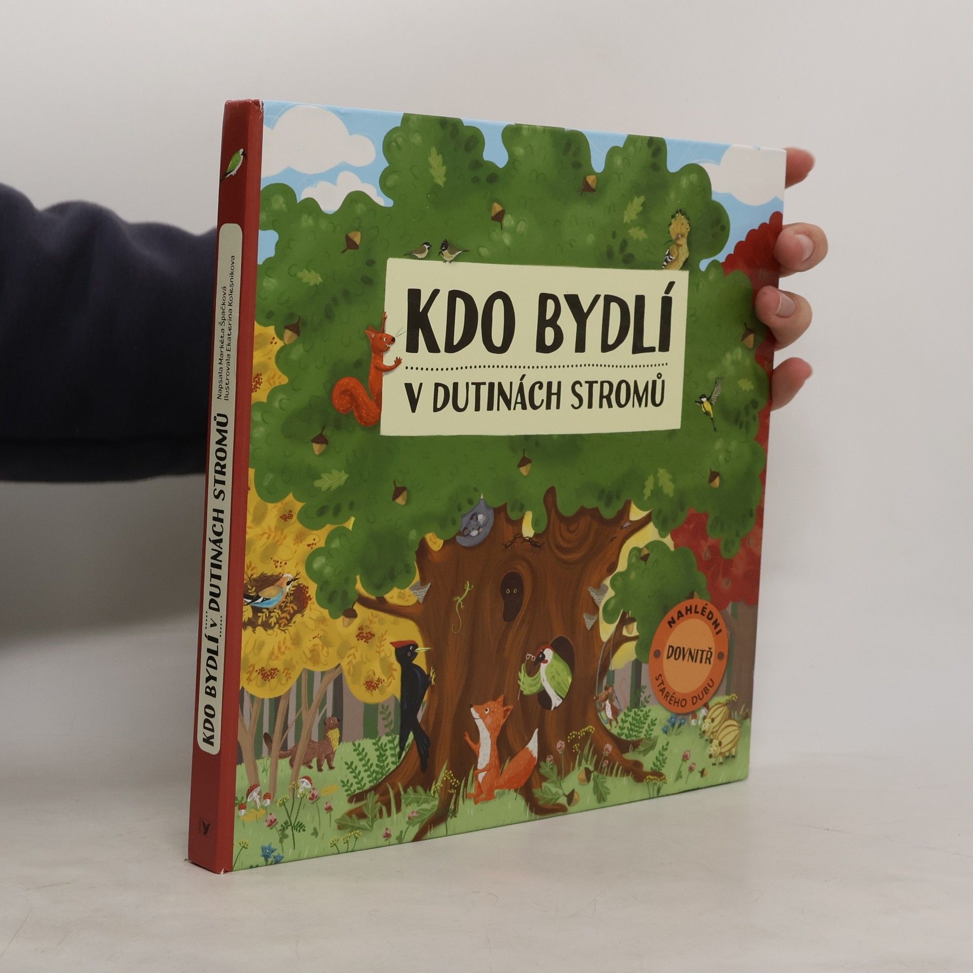 Kdo bydlí v dutinách stromů