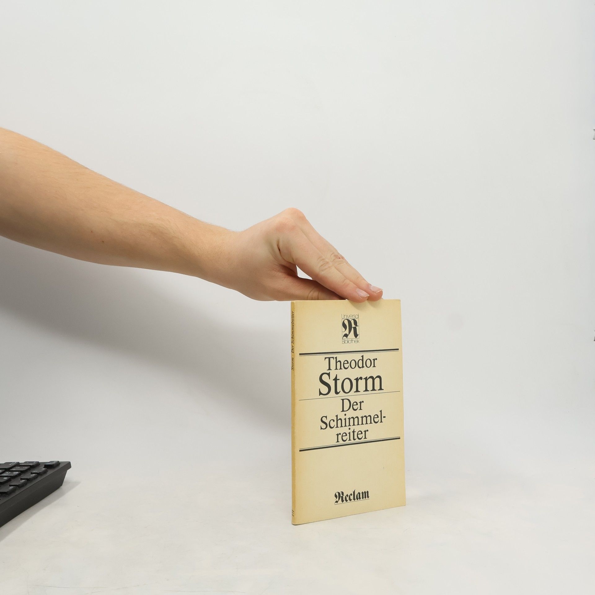 Theodor Storm Der Schimmelreiter