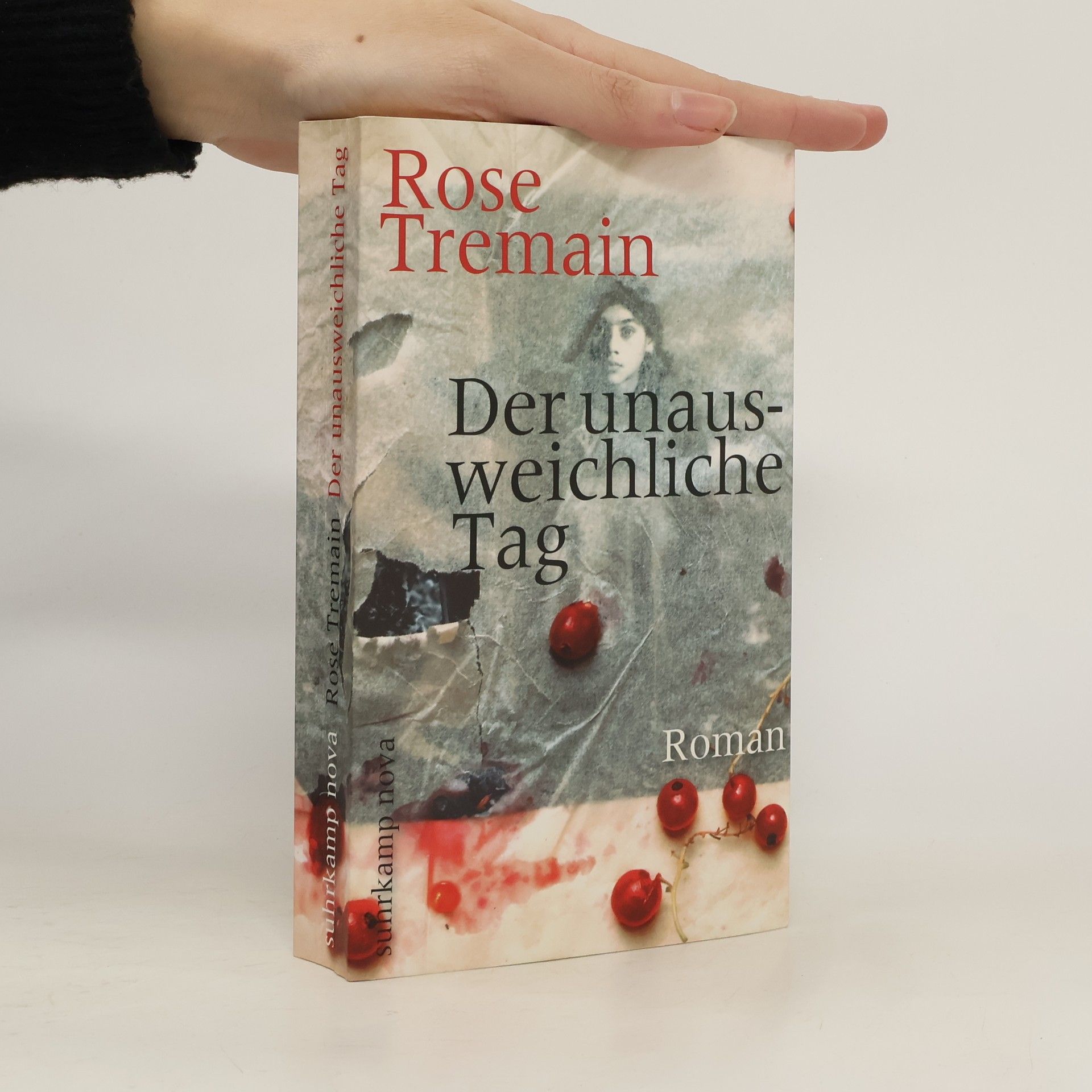 Rose Tremain Der unausweichliche Tag