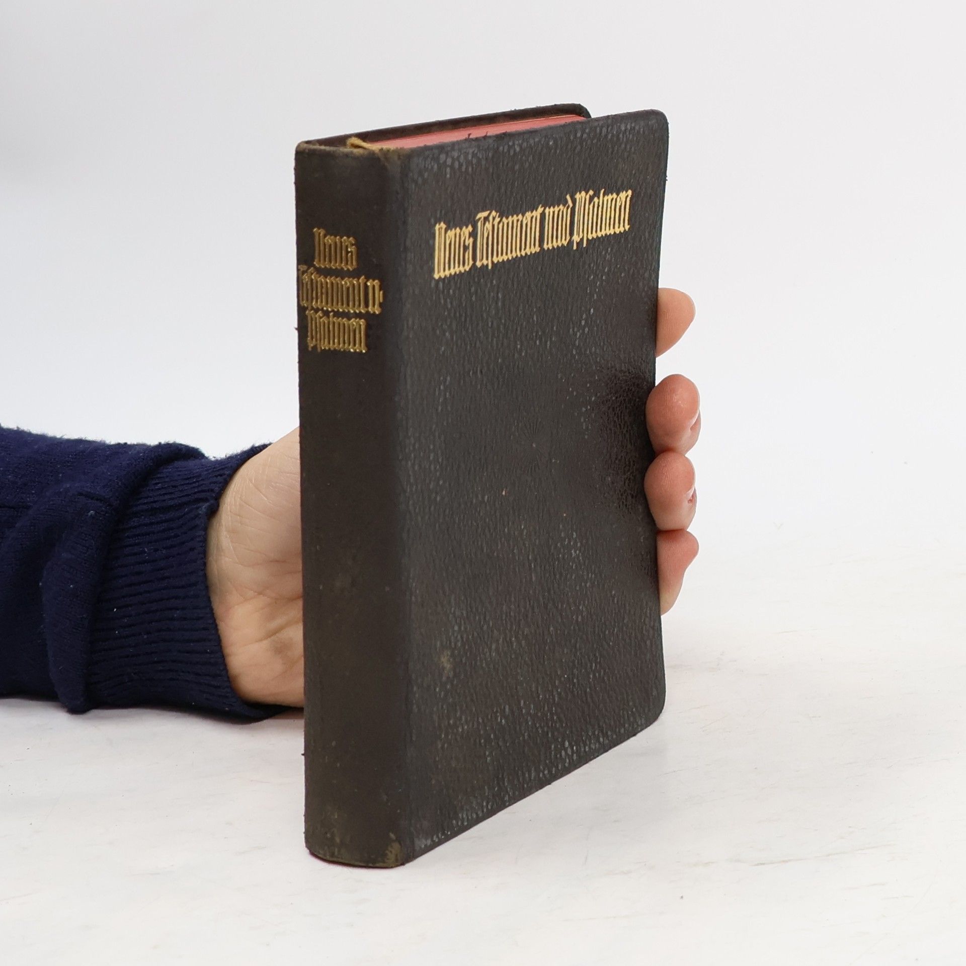 Autores varios Das Neue Testament