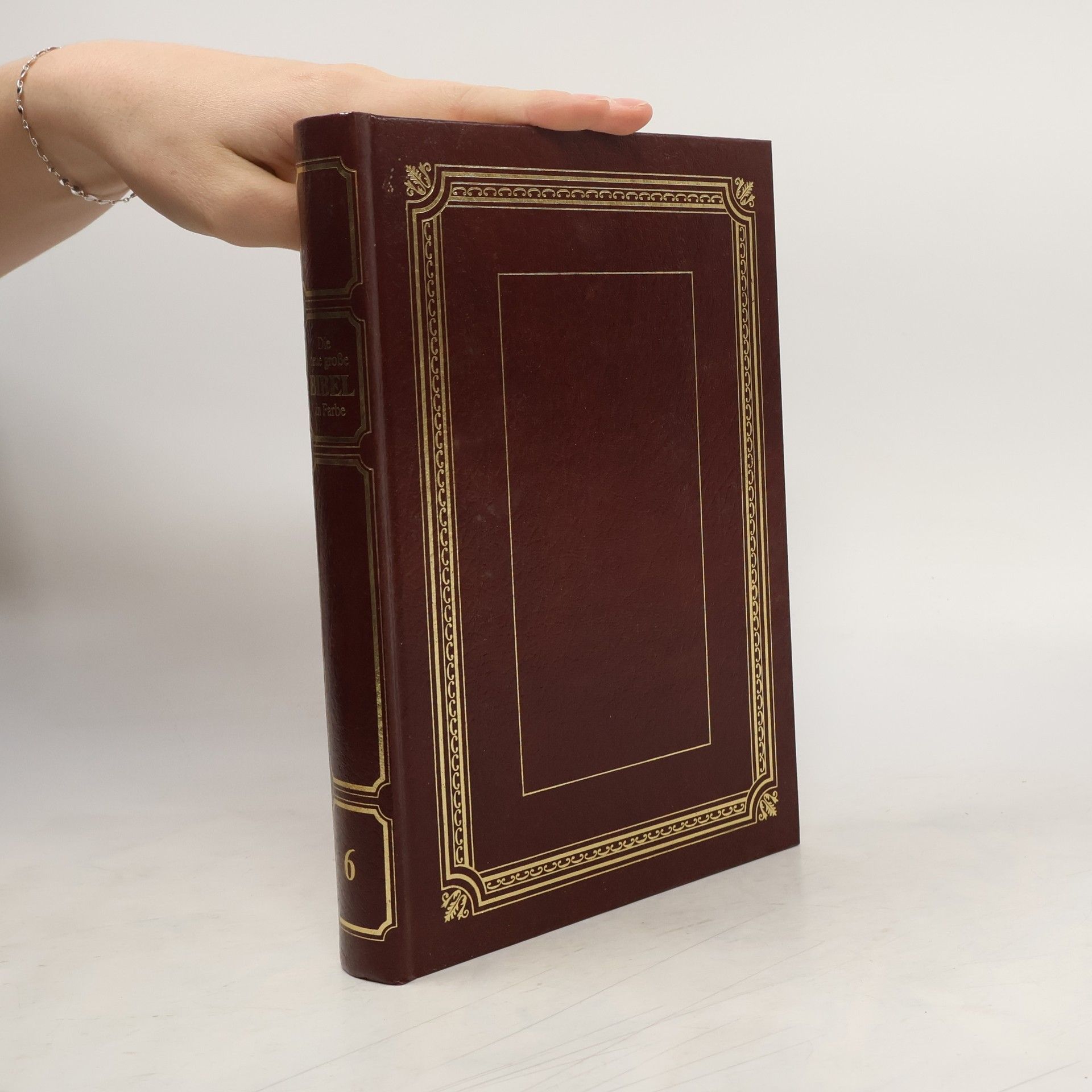 Die neue große Bibel in Farbe 6