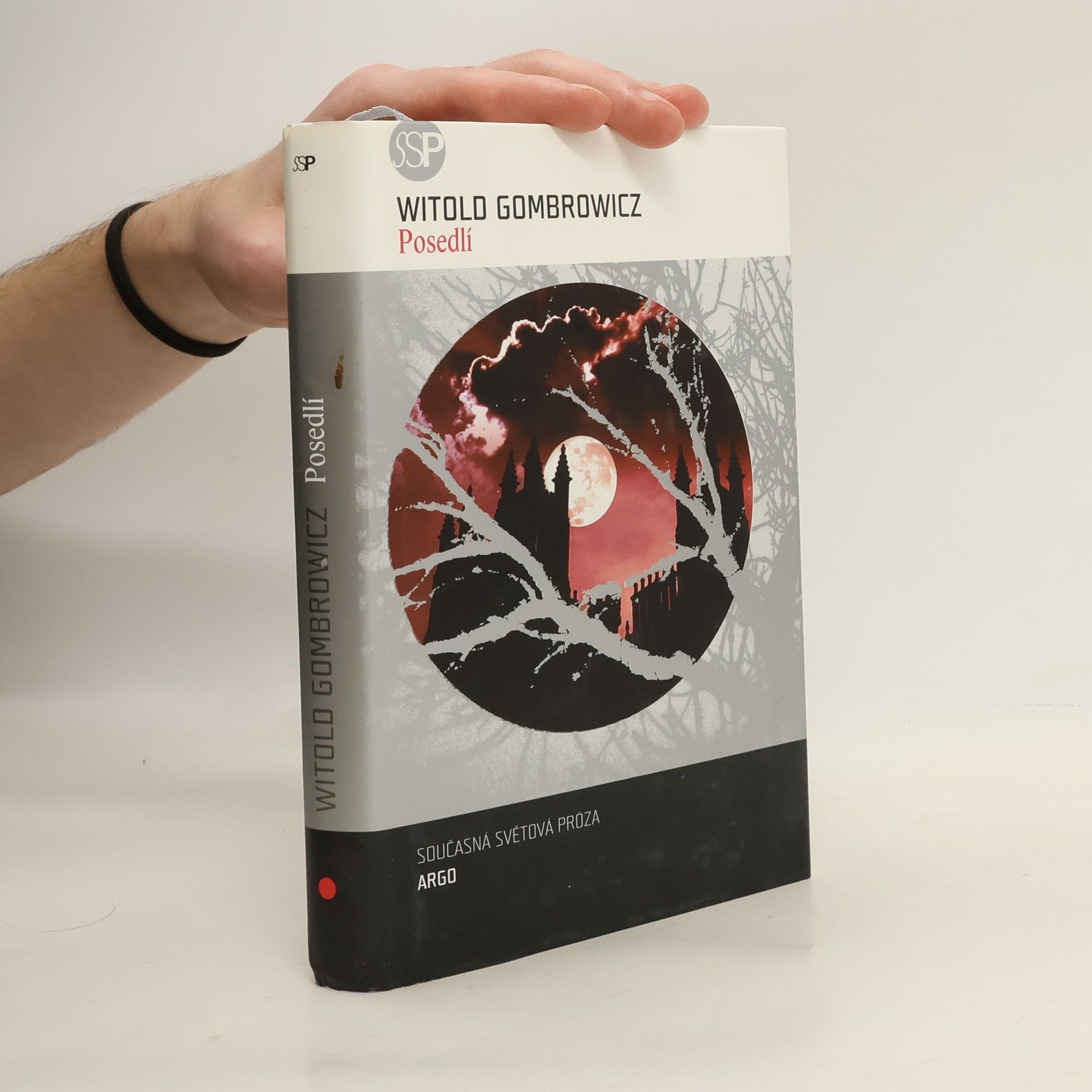 Witold Marian Gombrowicz Posedlí