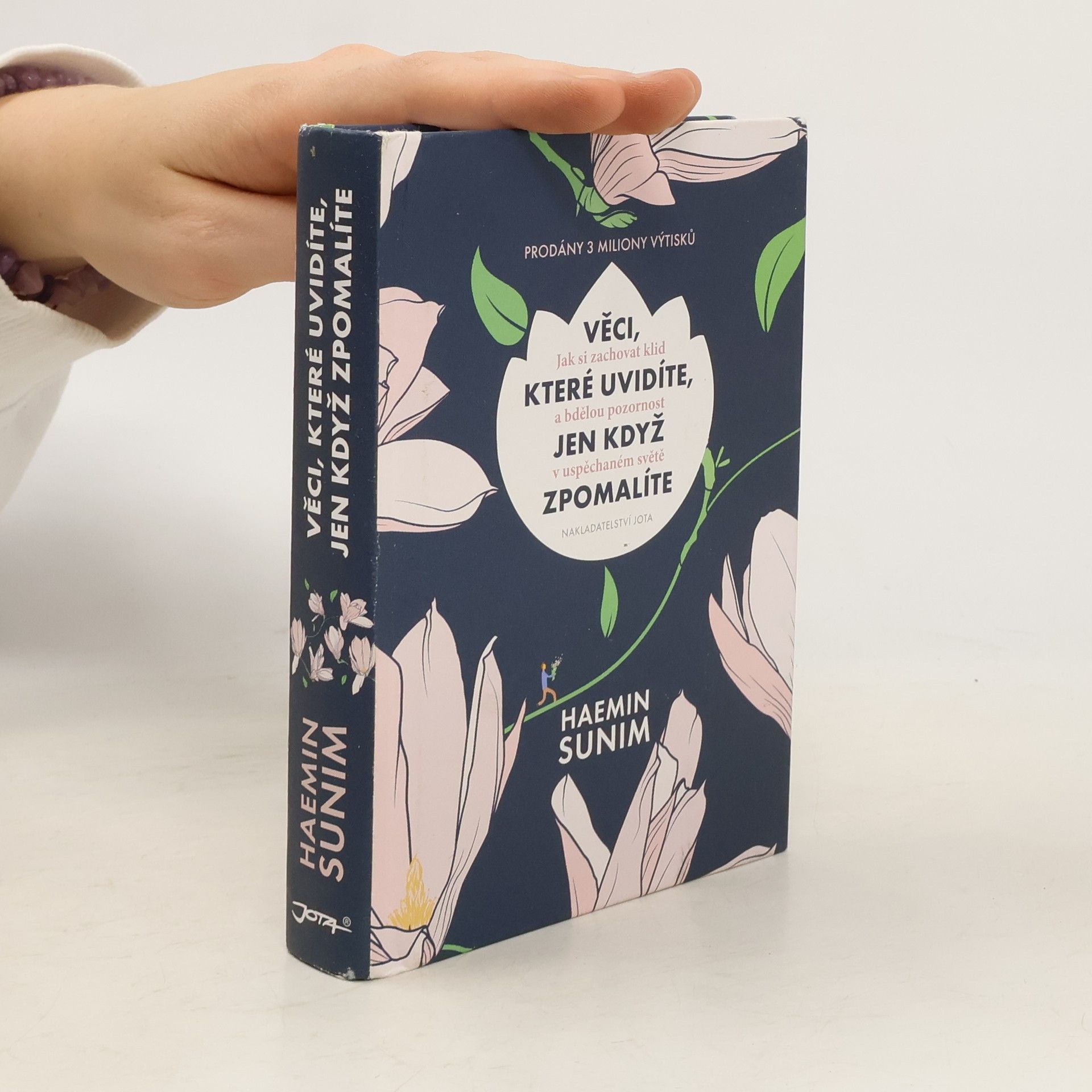 Sunim Haemin Věci, které uvidíte, jen když zpomalíte