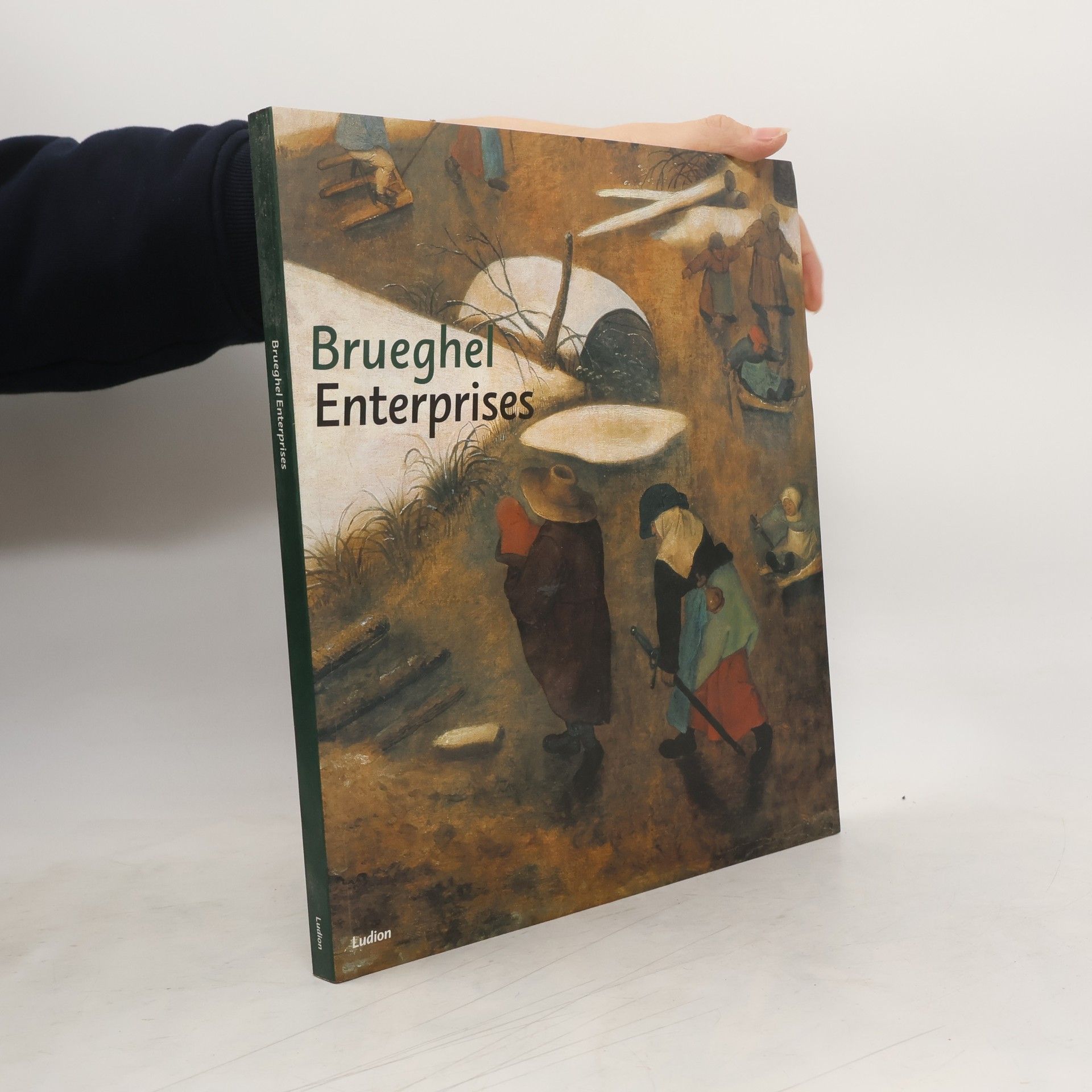 Peter van den Brink Brueghel Enterprises