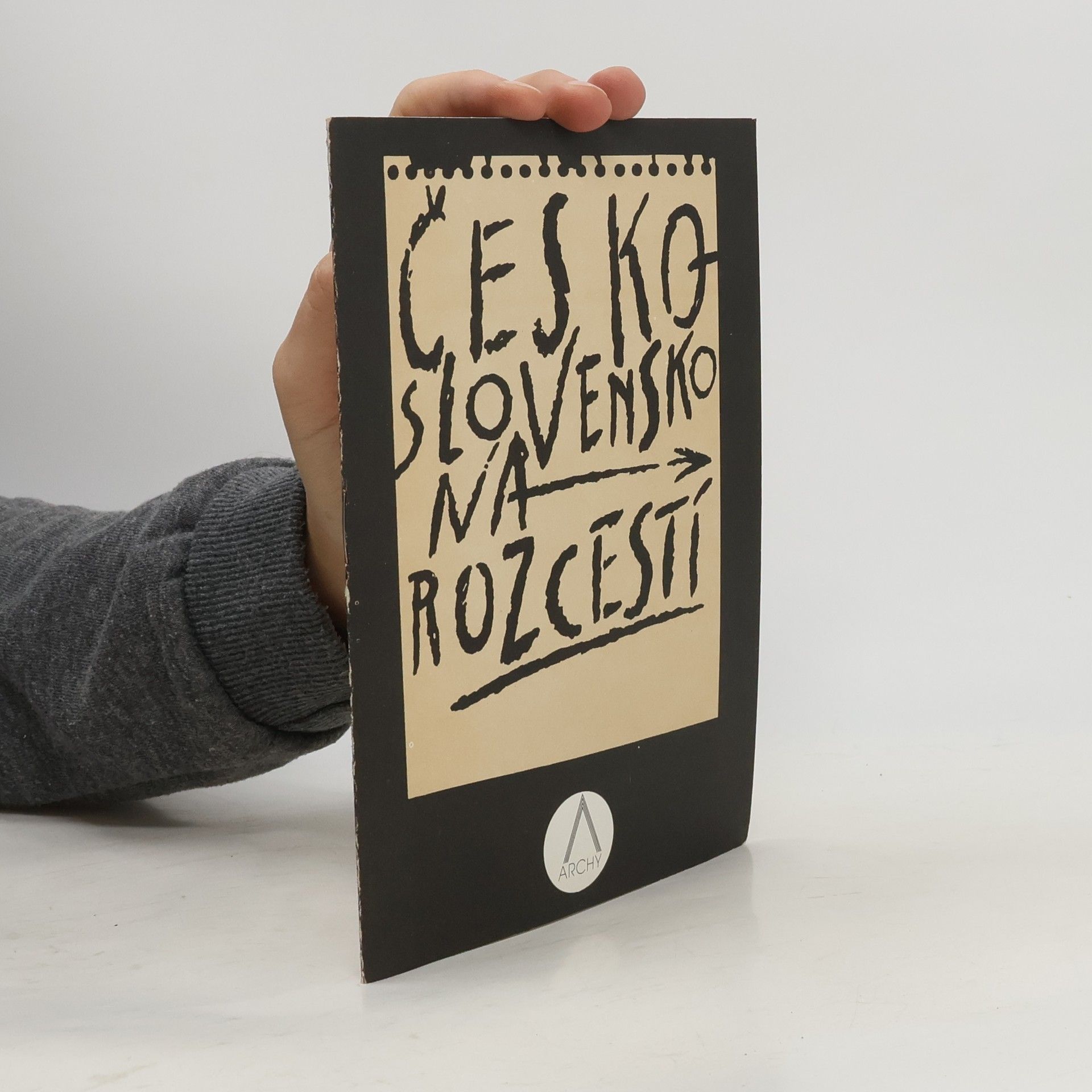 Autorenkollektiv Československo na rozcestí