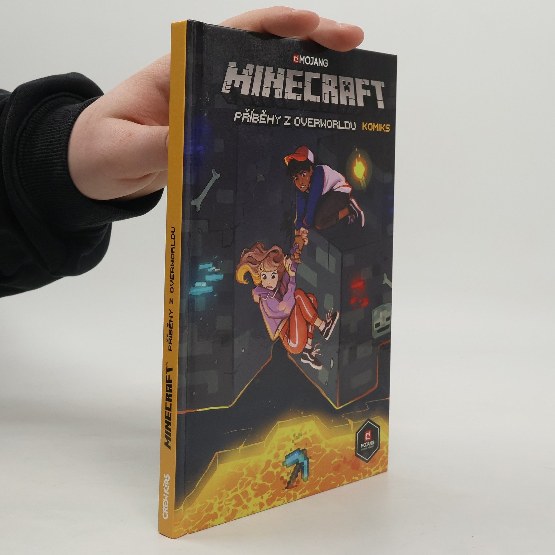 Minecraft. Příběhy z Overworldu