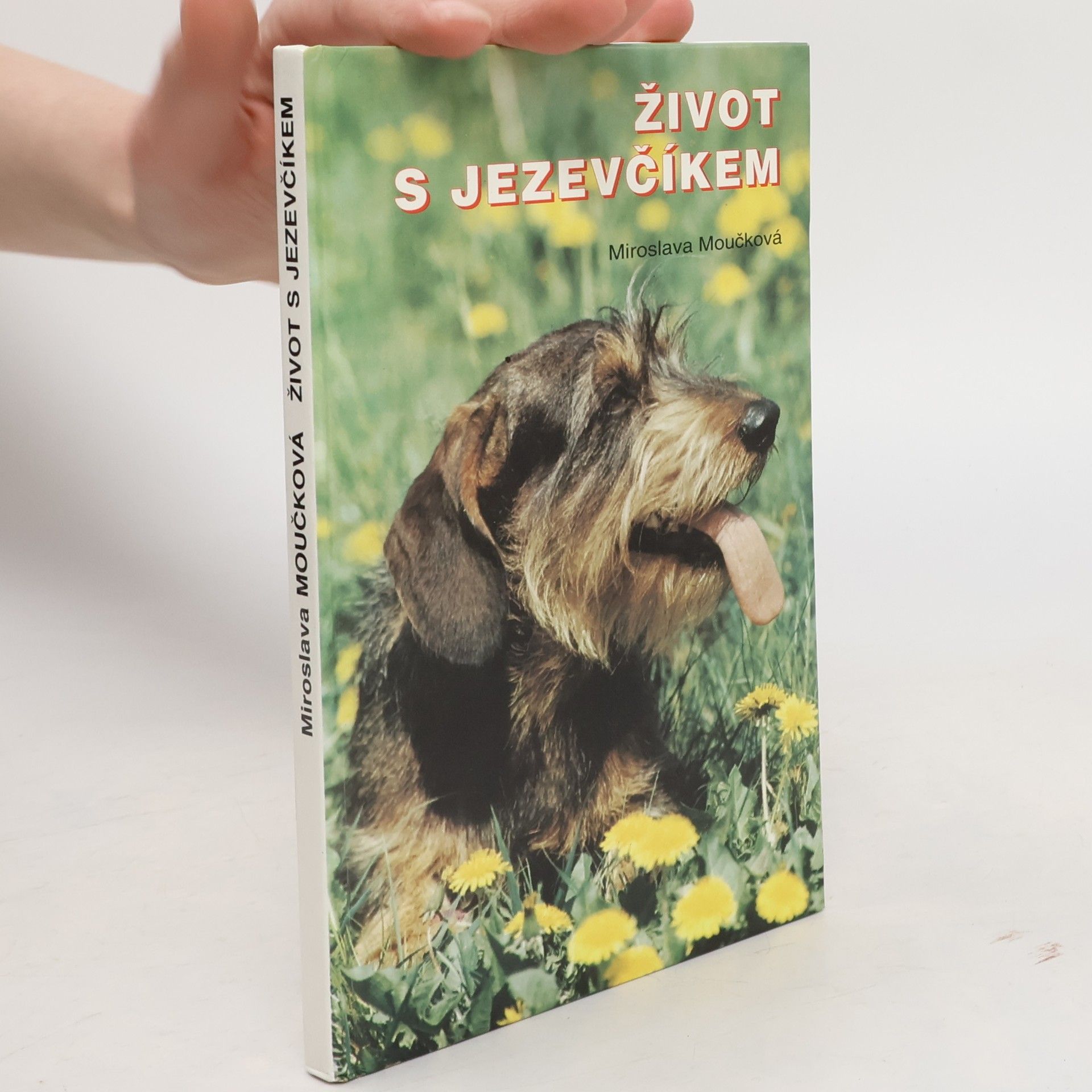 Život s jezevčíkem