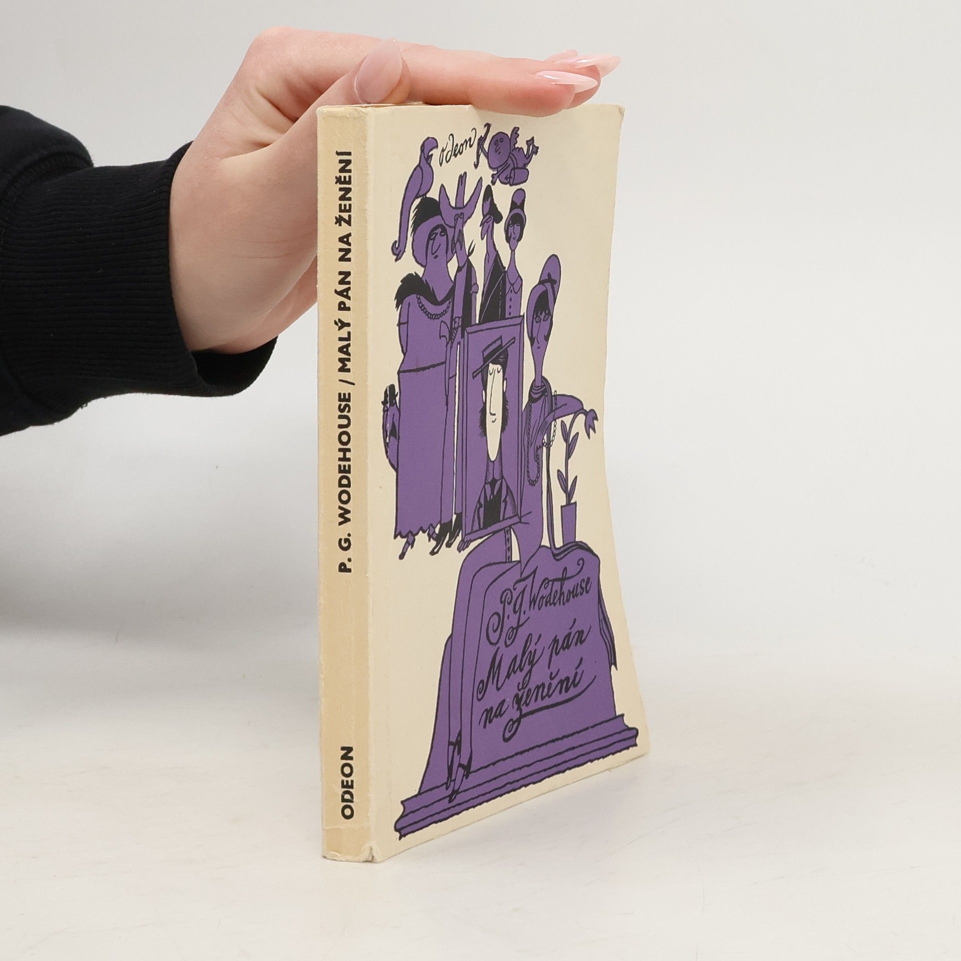 Malý pán na ženění