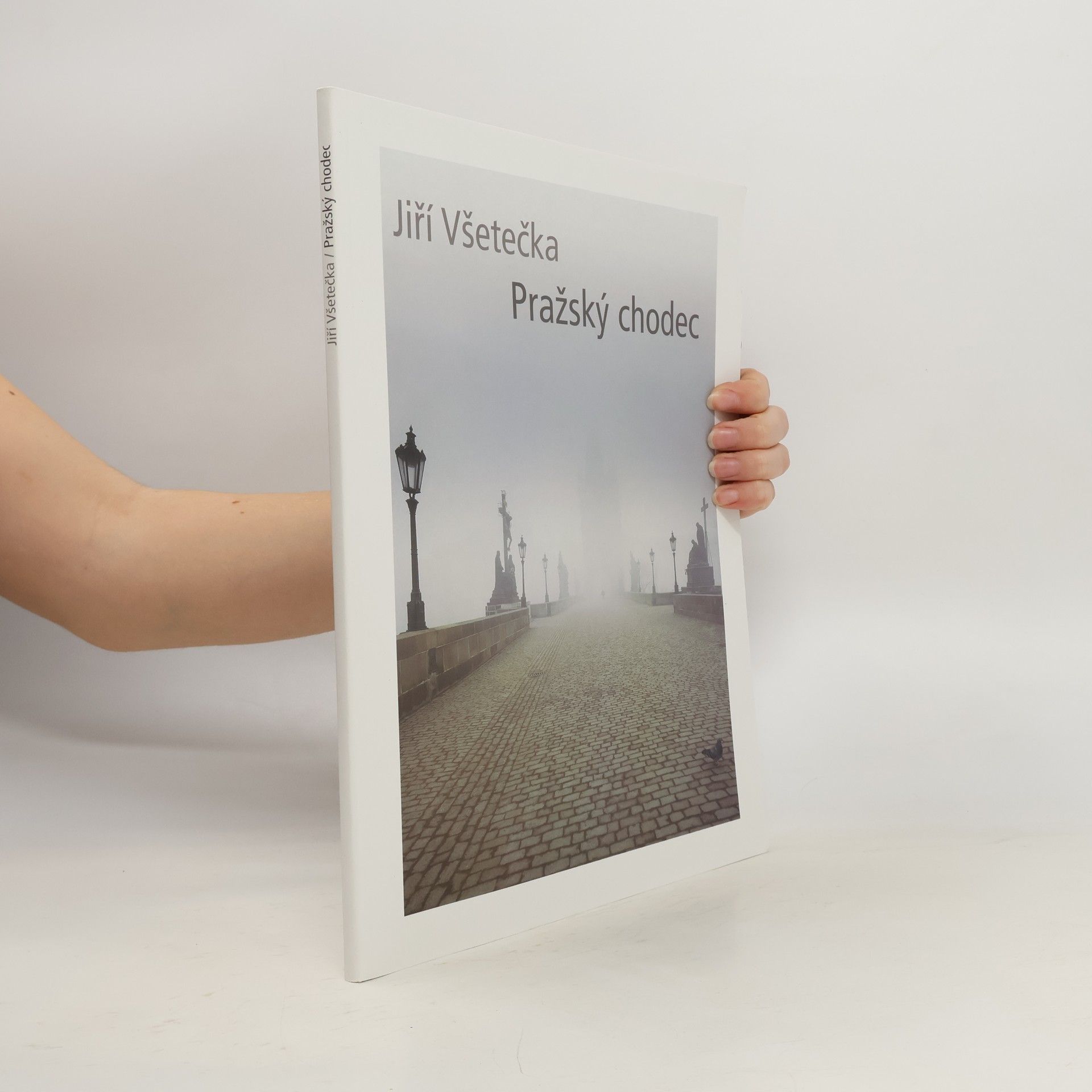 Jiří Všetečka Pražský chodec