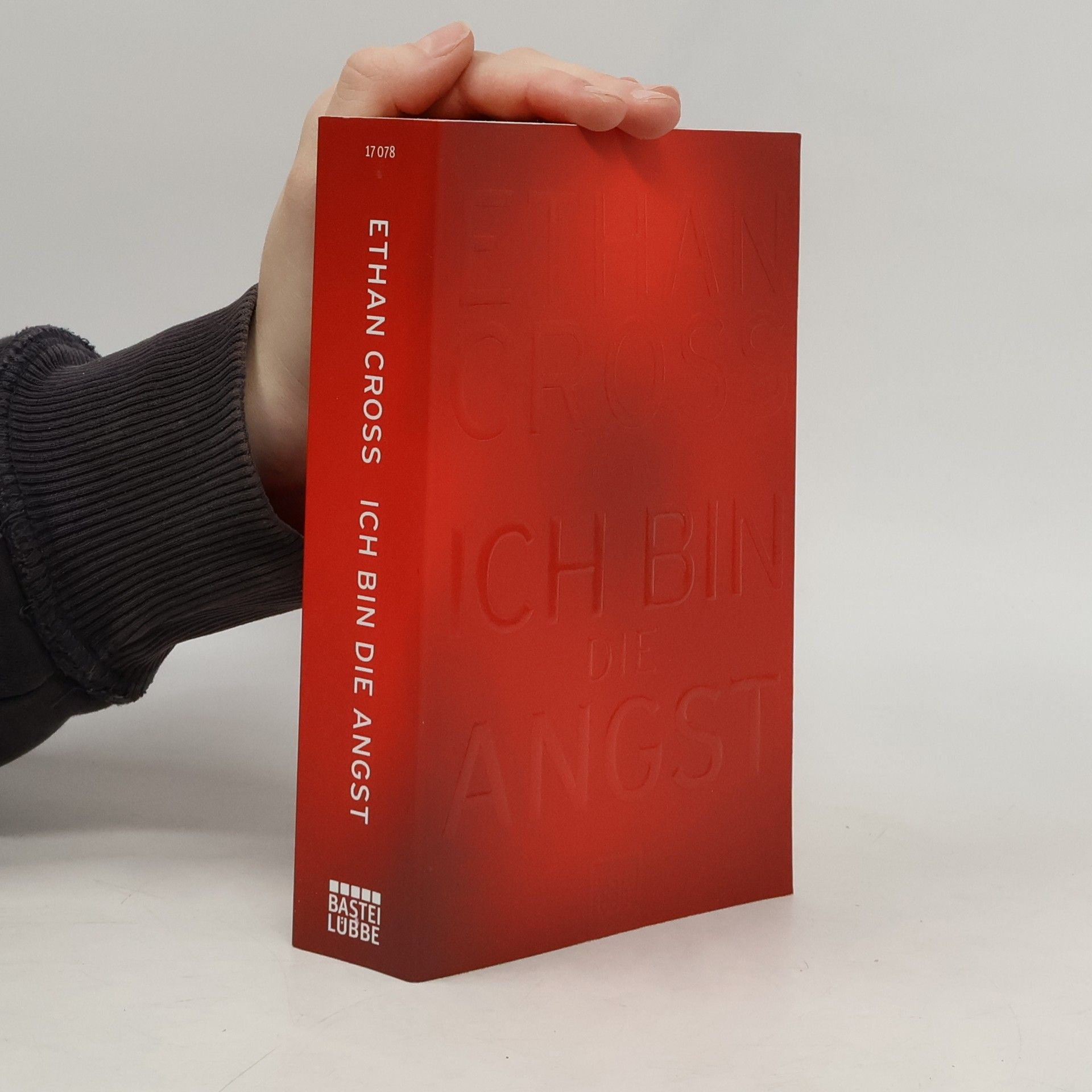 Ethan Cross Ich bin die angst