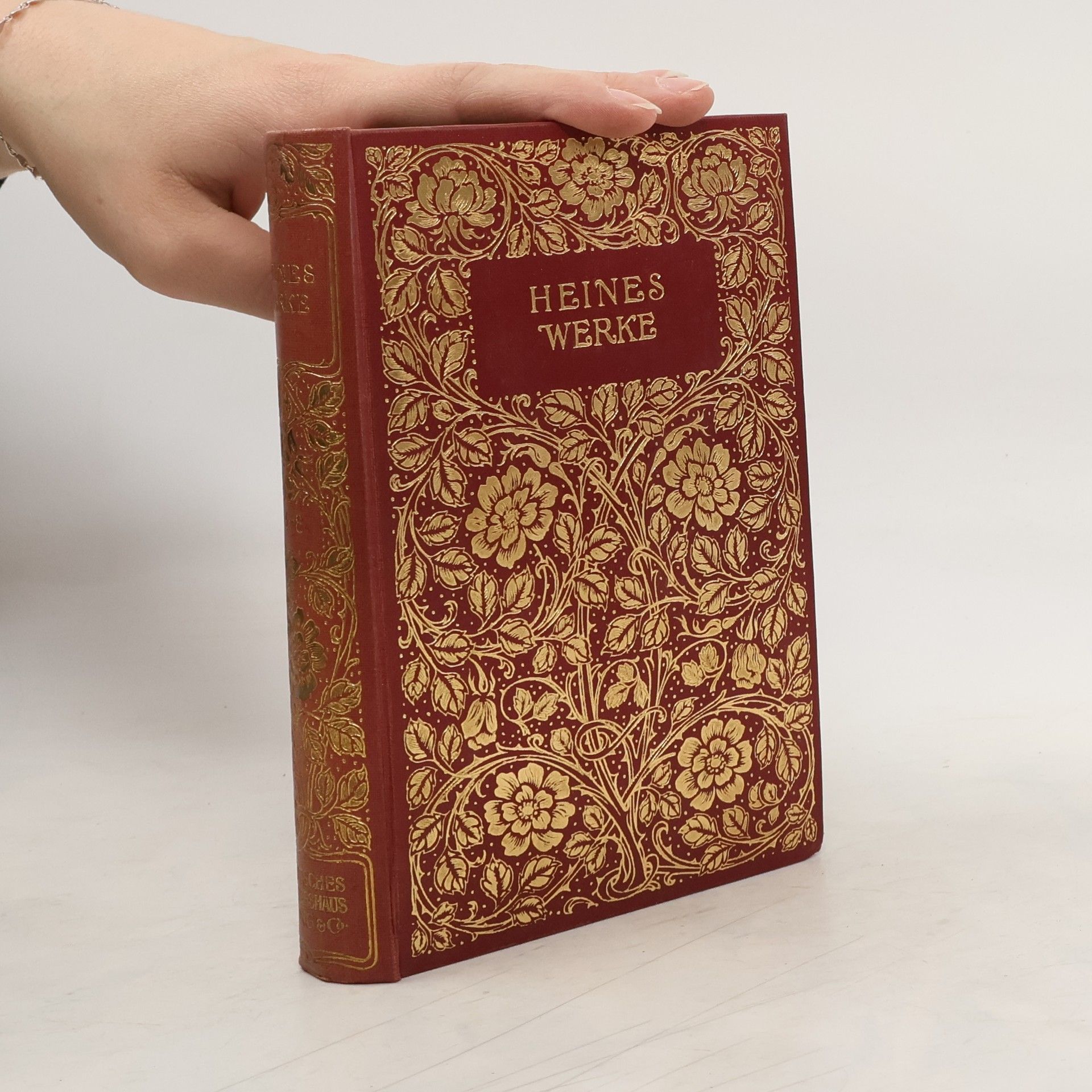 Heines Werke 5-8