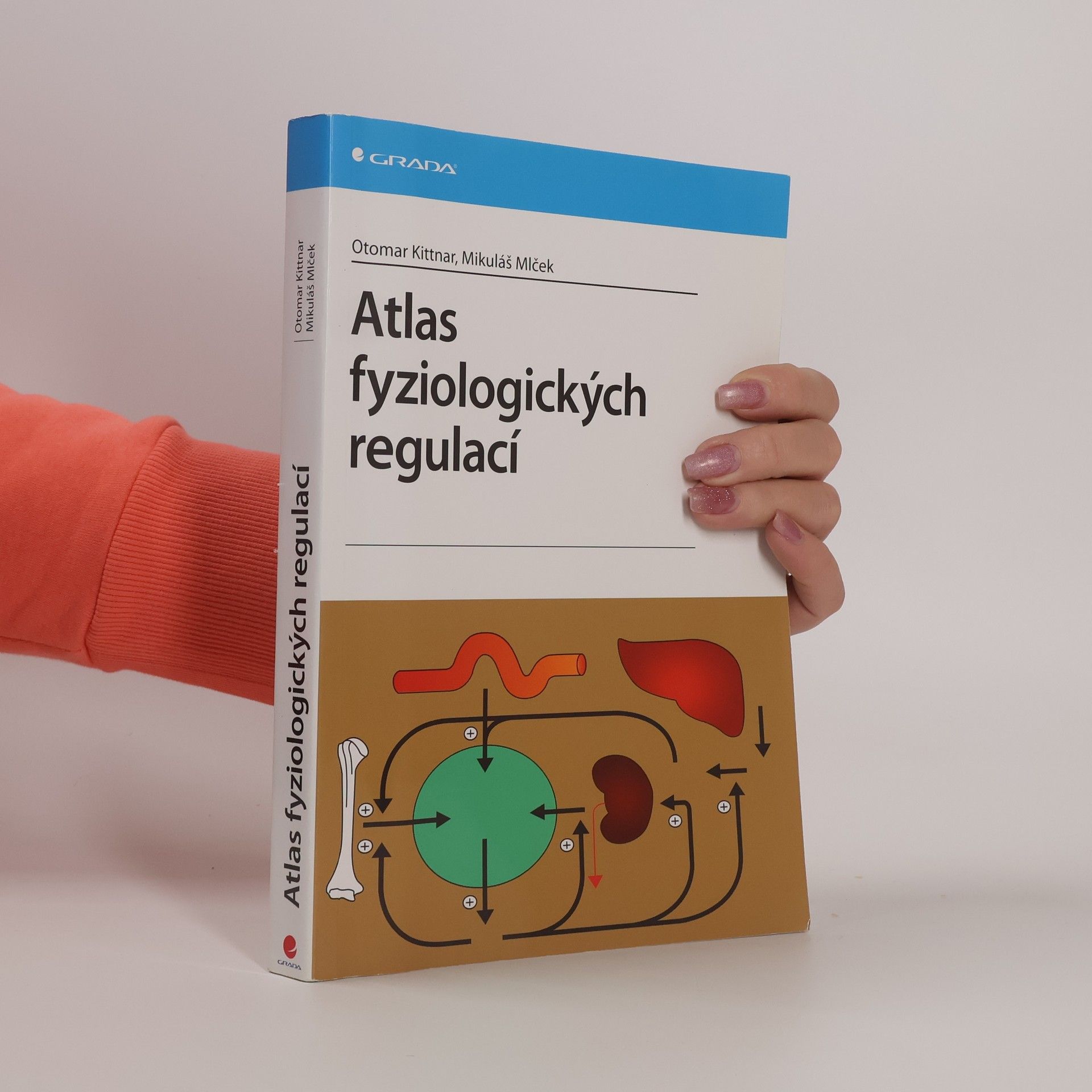 Atlas fyziologických regulací. 329 schémat