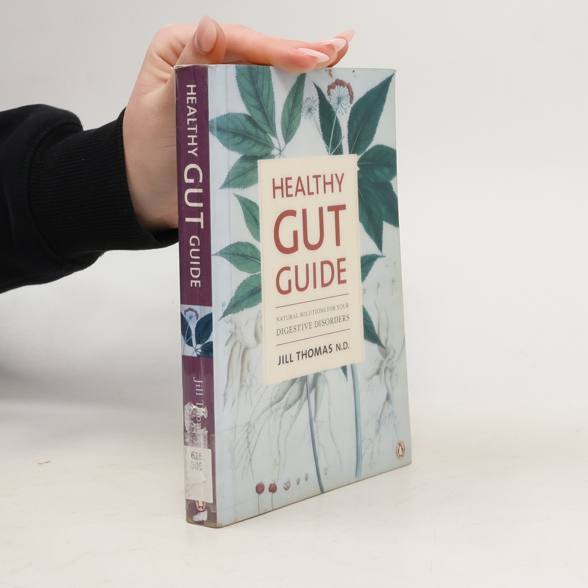 Jill Thomas N.D. Healthy Gut Guide