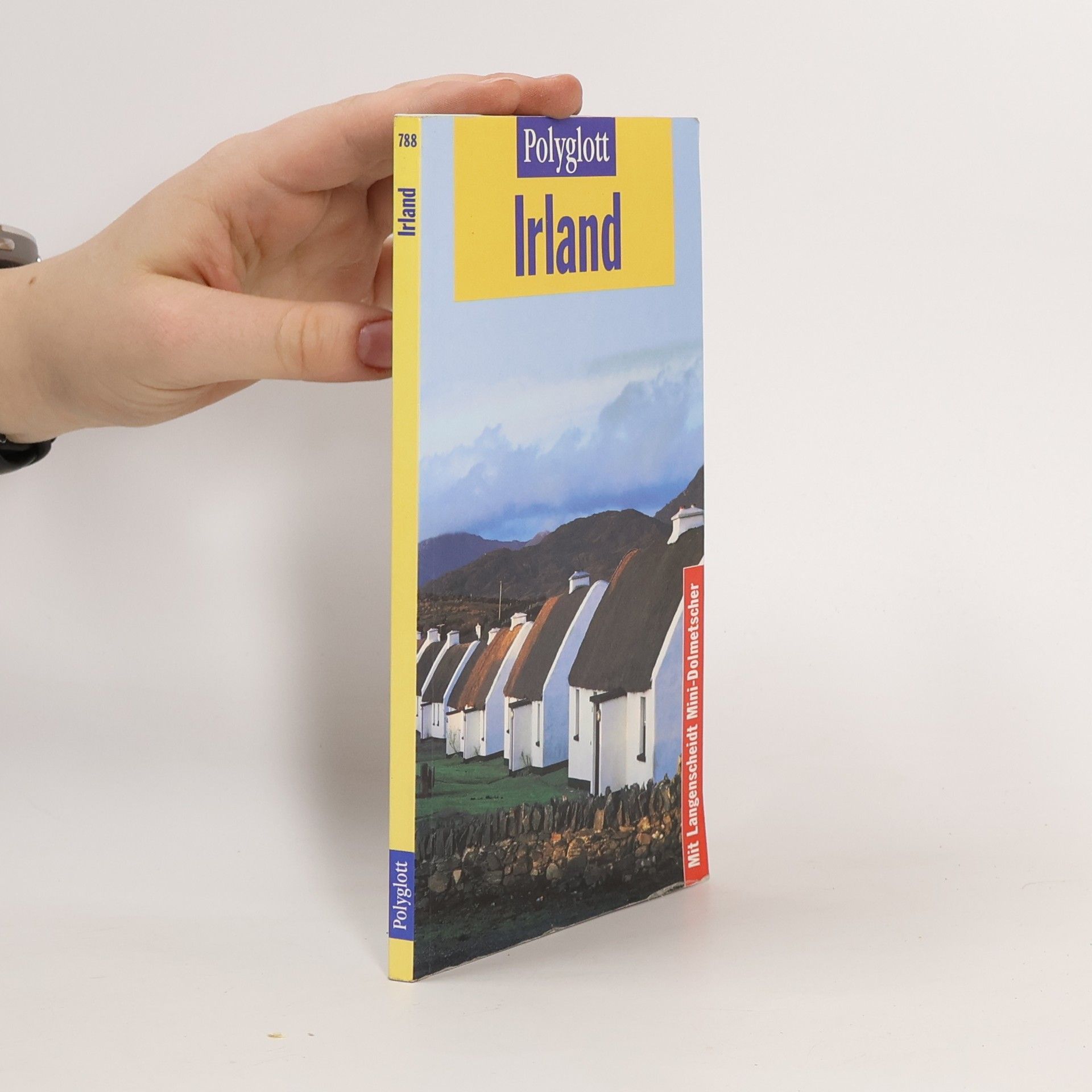 Bernd Müller Irsko