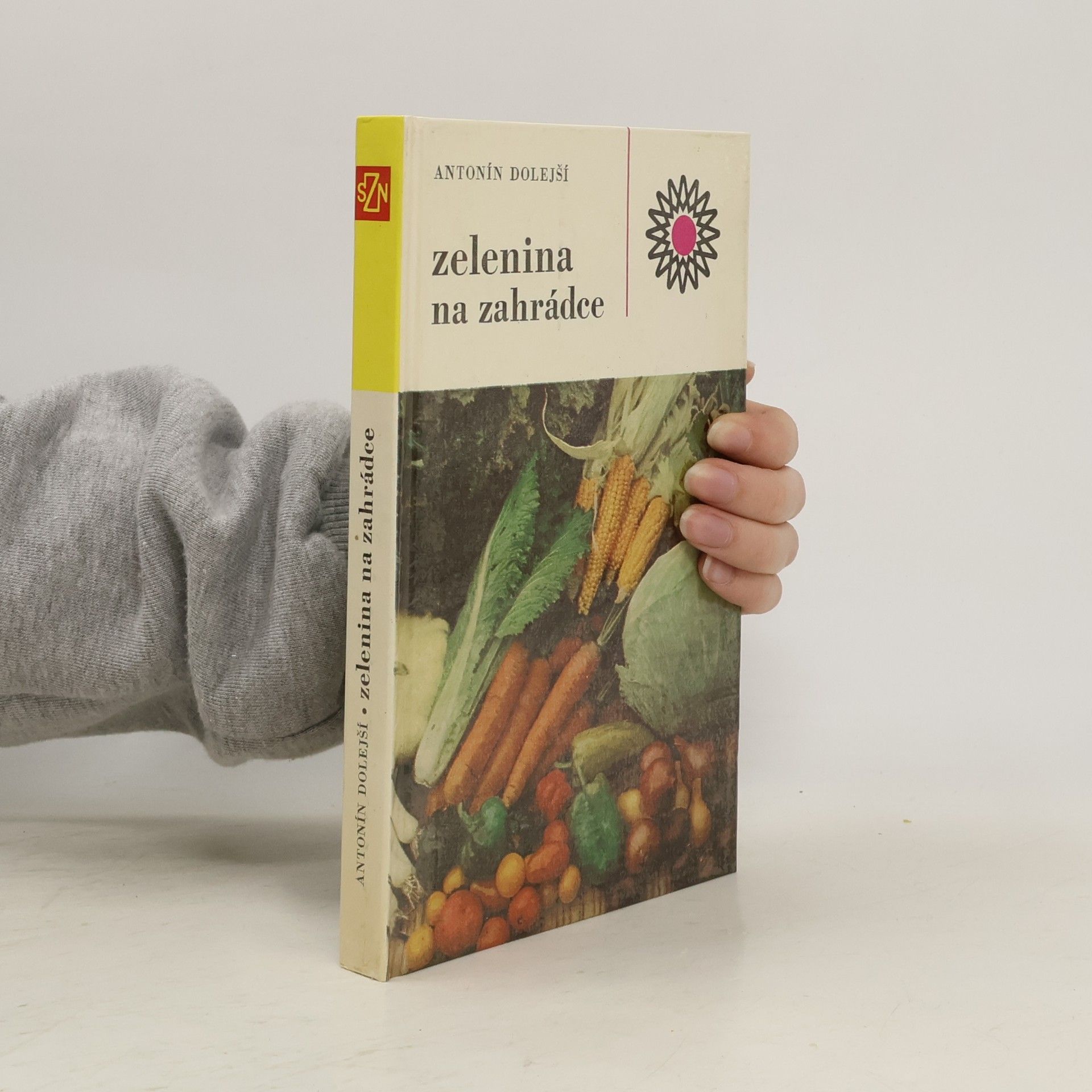 Zelenina na zahrádce