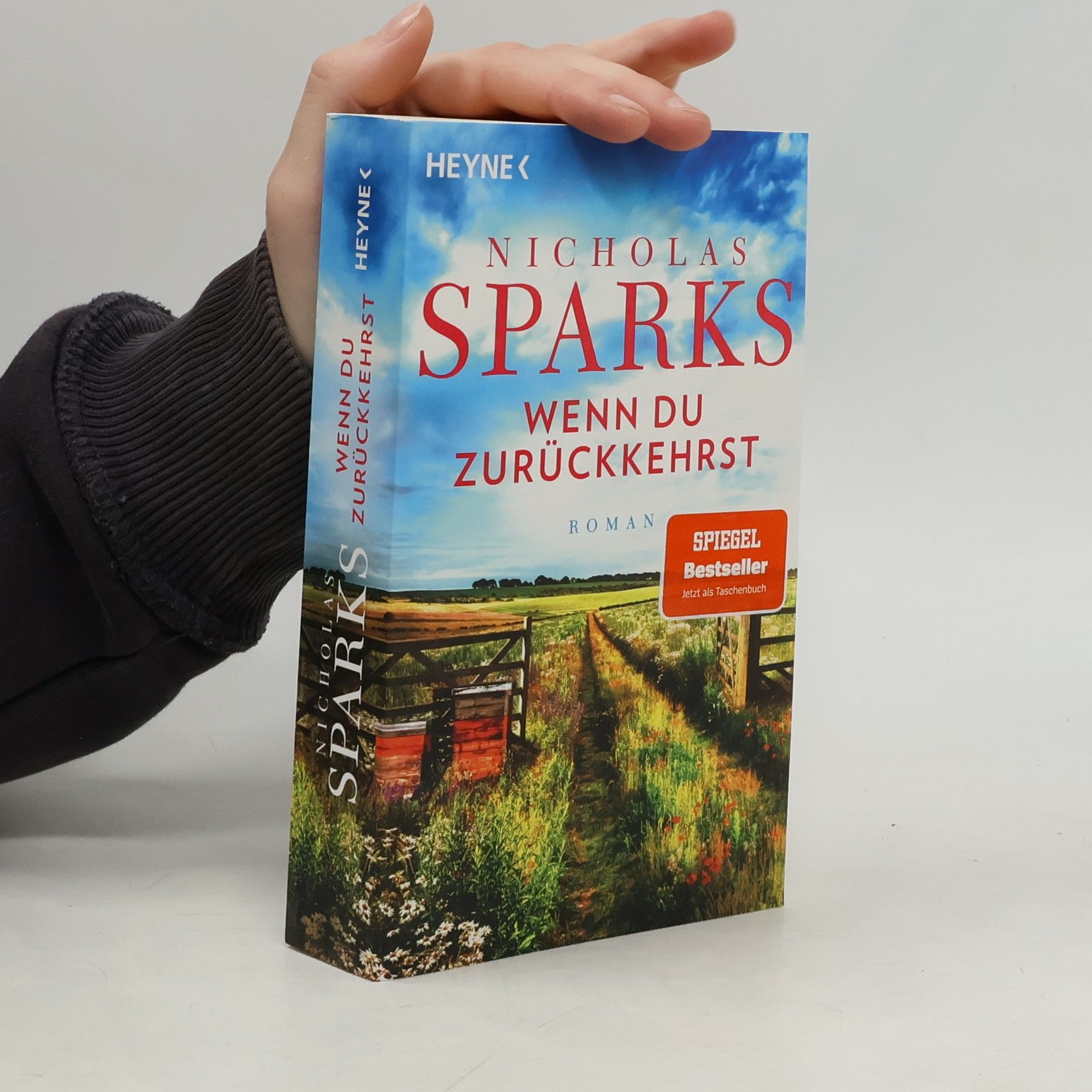 Nicholas Sparks Wenn du zurückkehrst