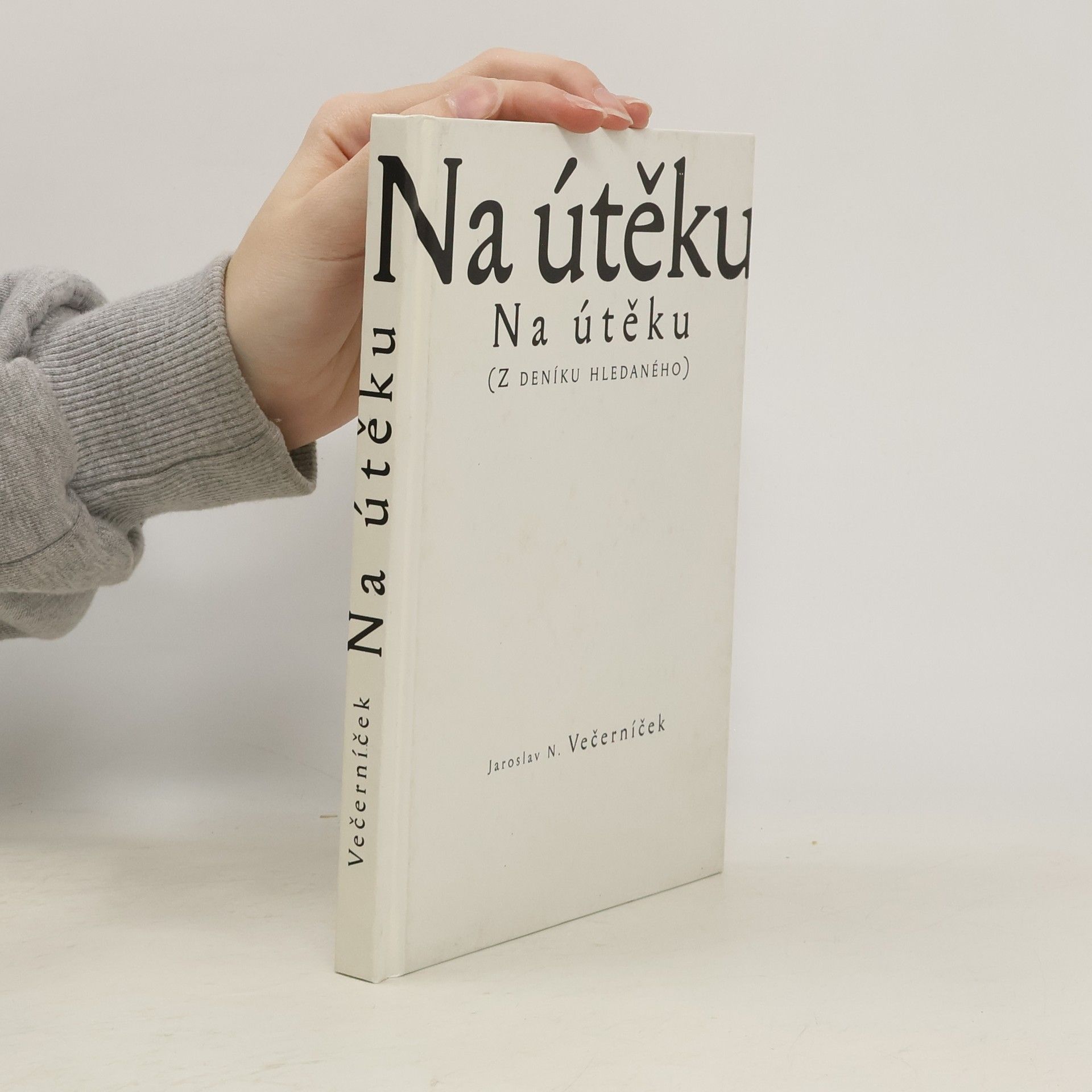 Na útěku (Z deníku hledaného)