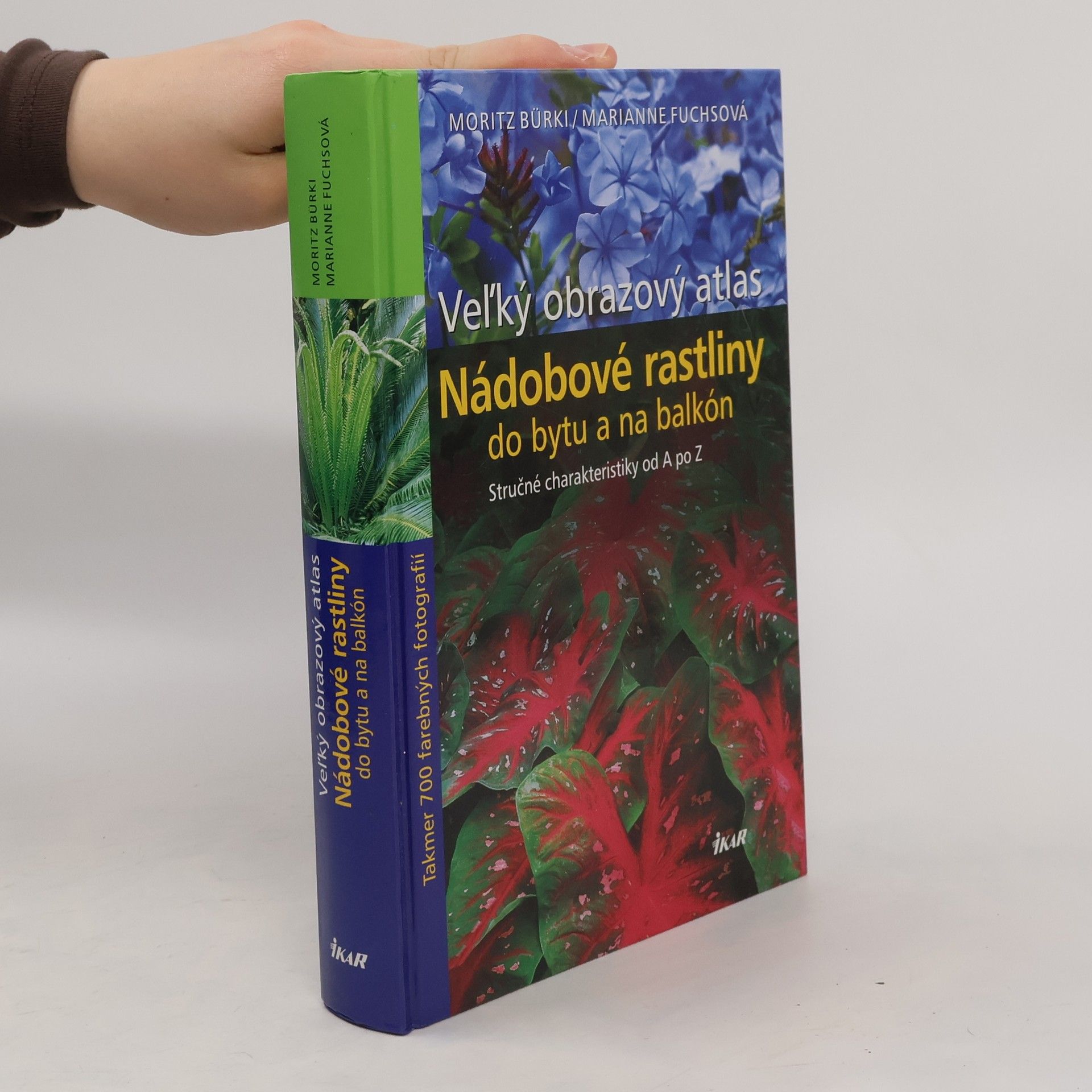 Nádobové rastliny do bytu a na balkón