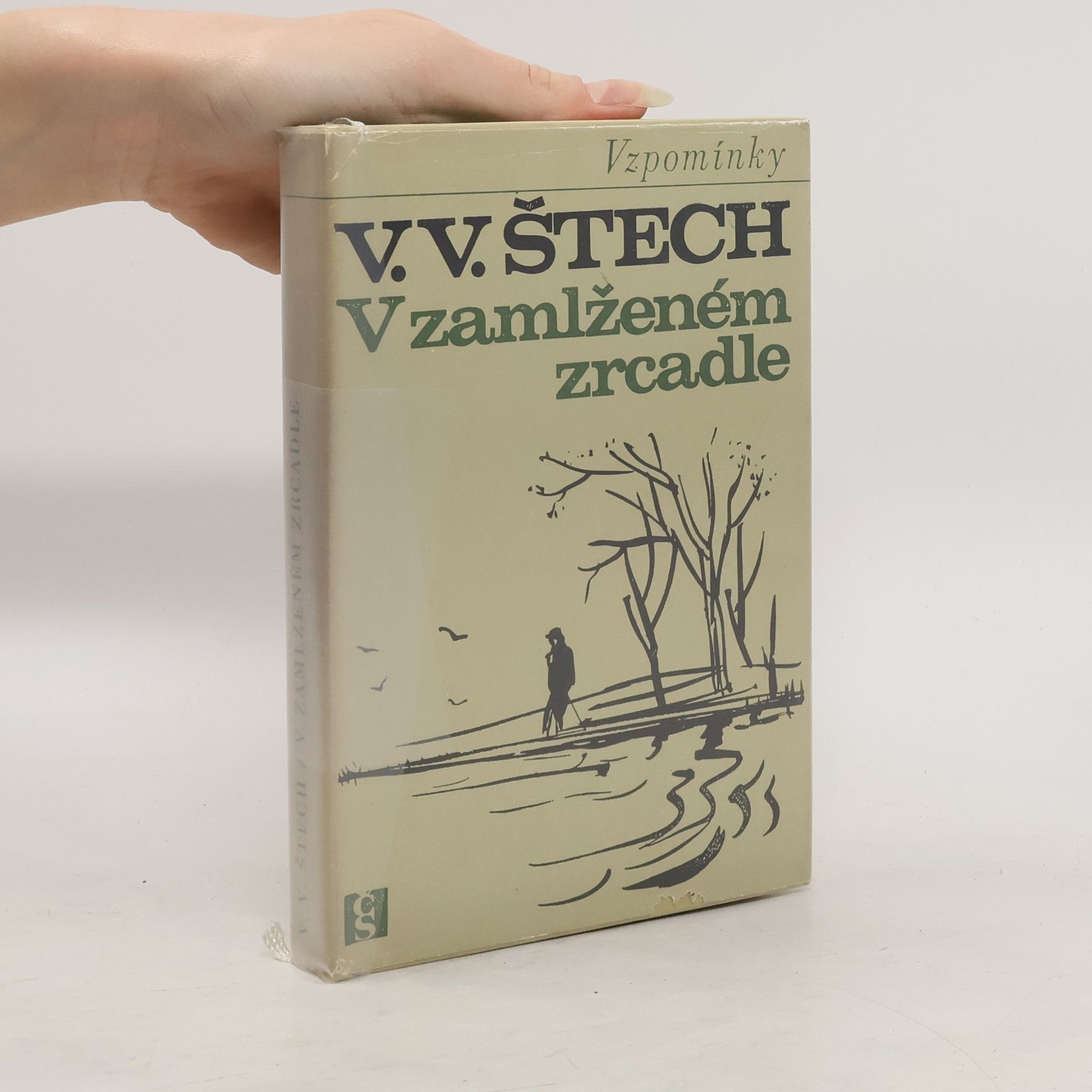 V zamlženém zrcadle 1