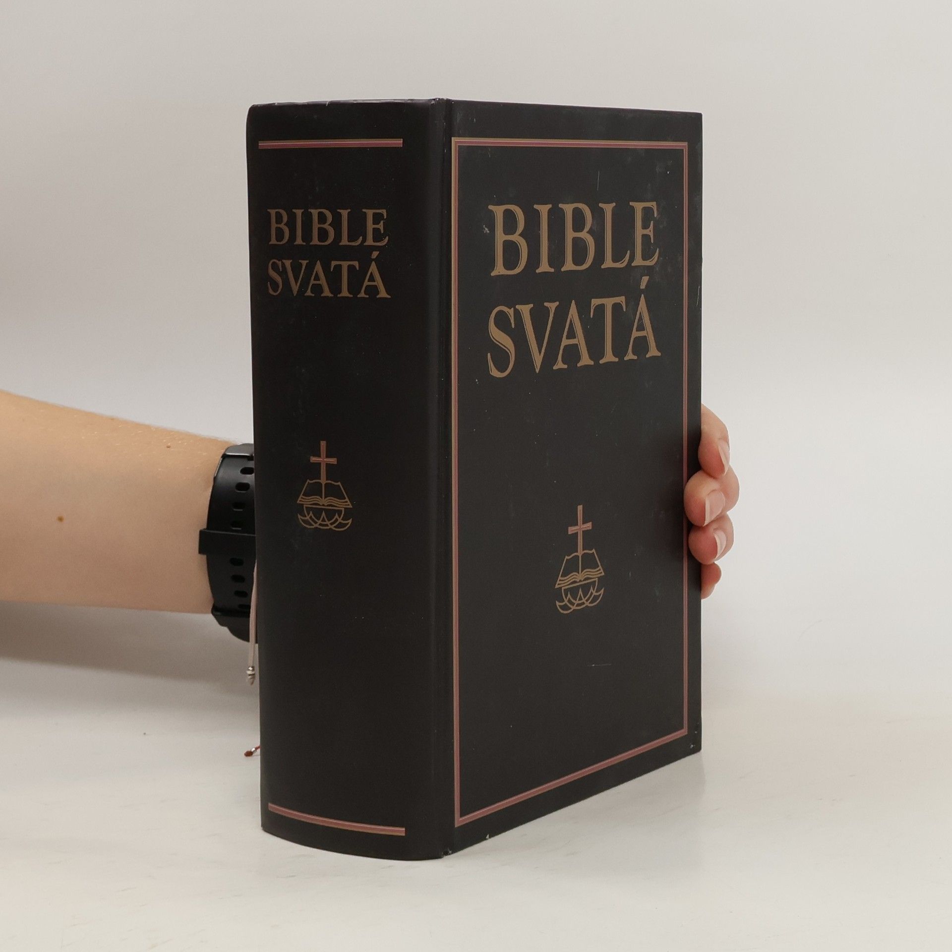 Autorenkollektiv Bible svatá aneb všecka svatá písma Starého i Nového zákona