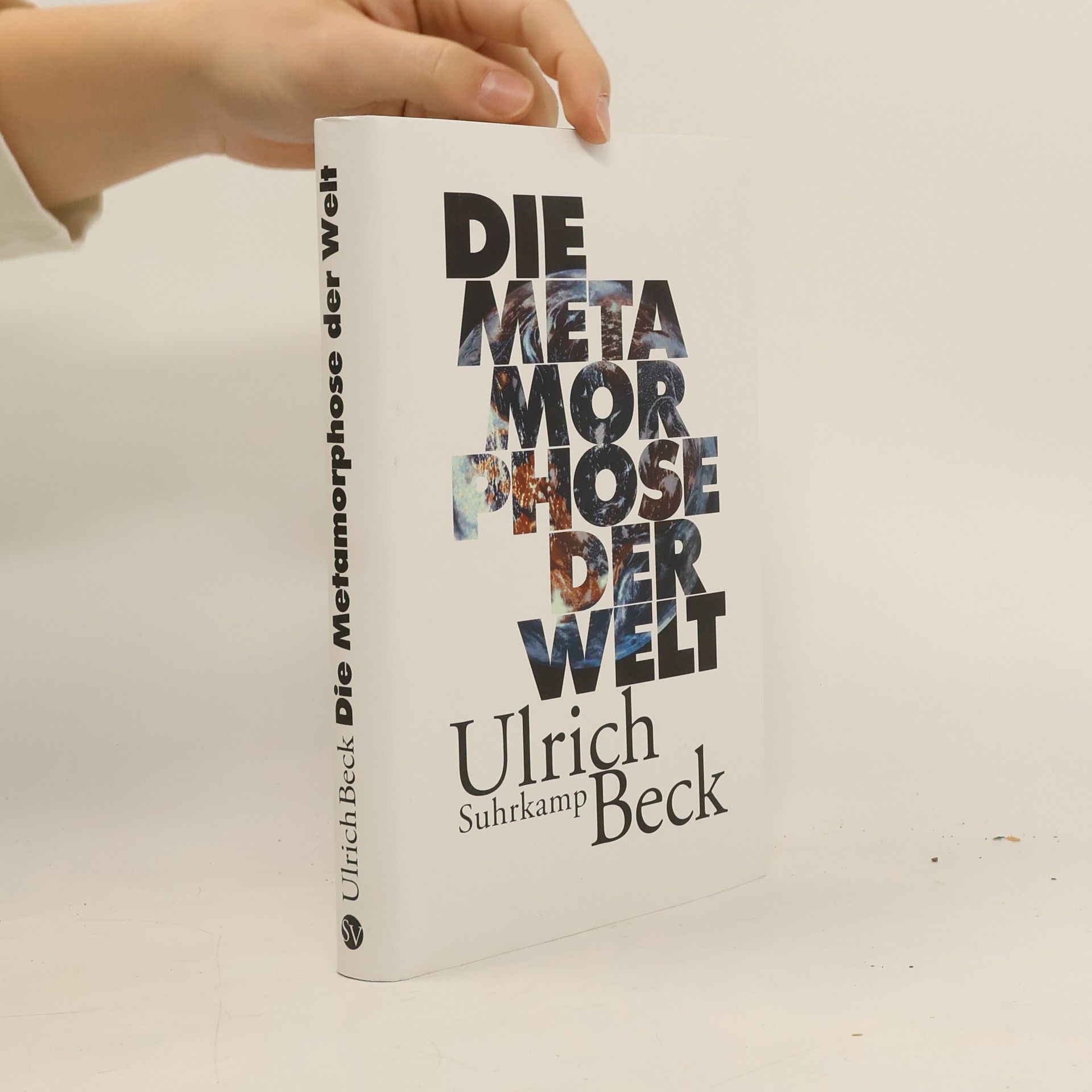 Ulrich Beck Die Metamorphose der Welt