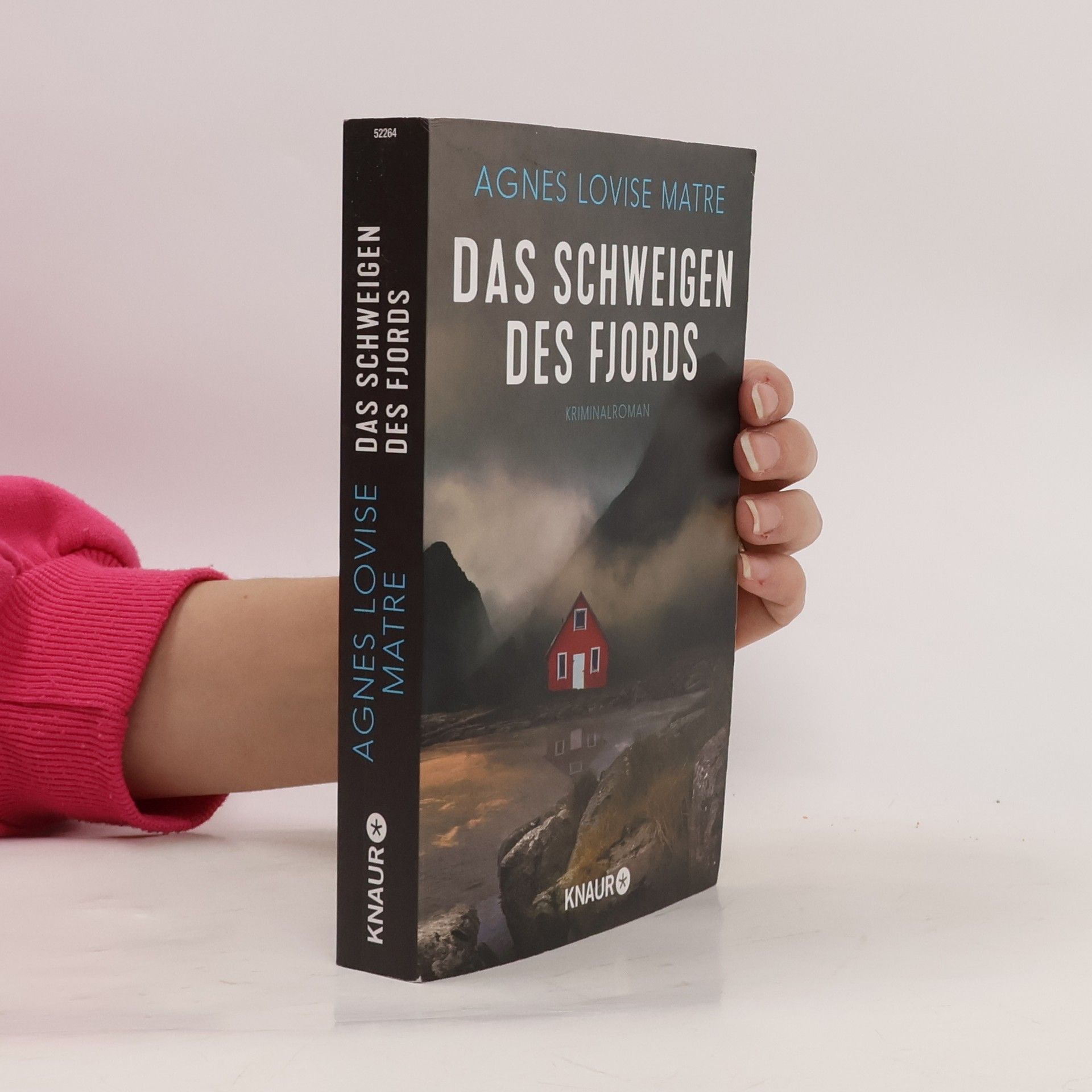 Agnes Lovise Matre Das Schweigen des Fjords