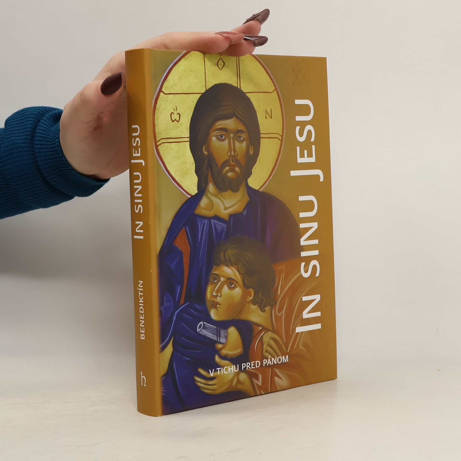 Kolektív autorov In sinu Jesu