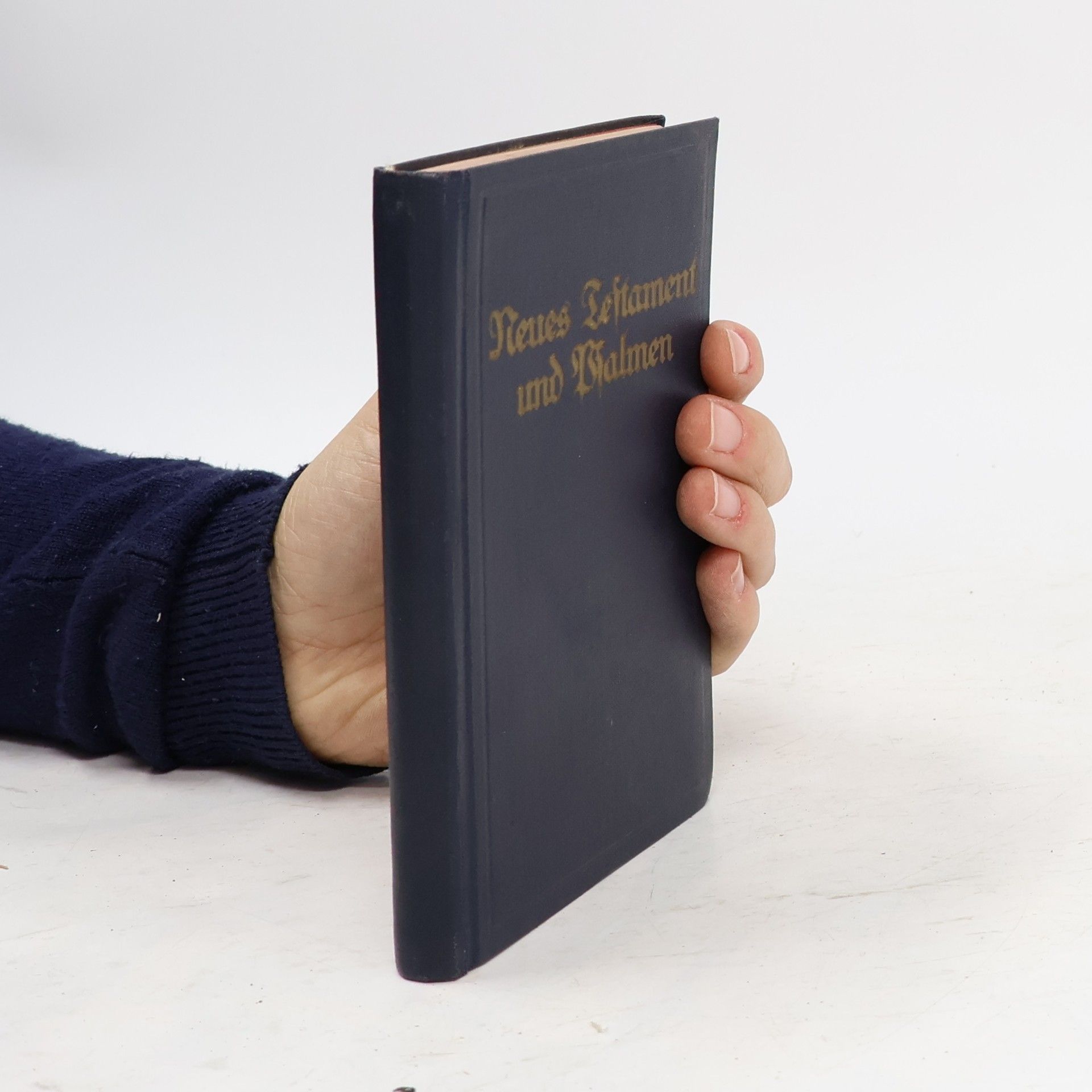 Autorenkollektiv Neues Testament und Psalmen