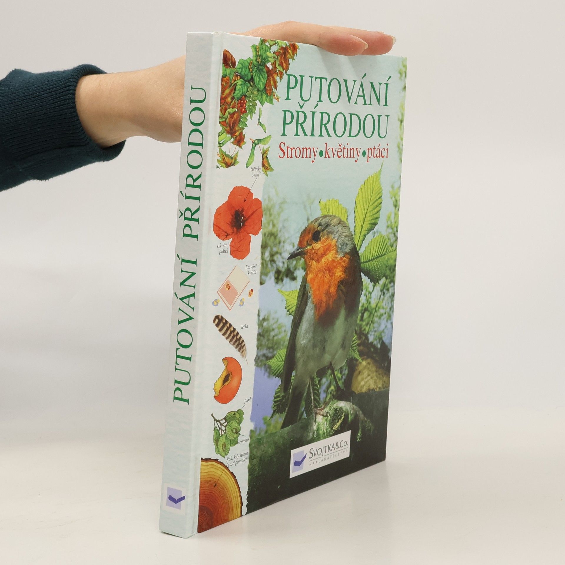 Various authors Putování přírodou: Stromy, květiny, ptáci