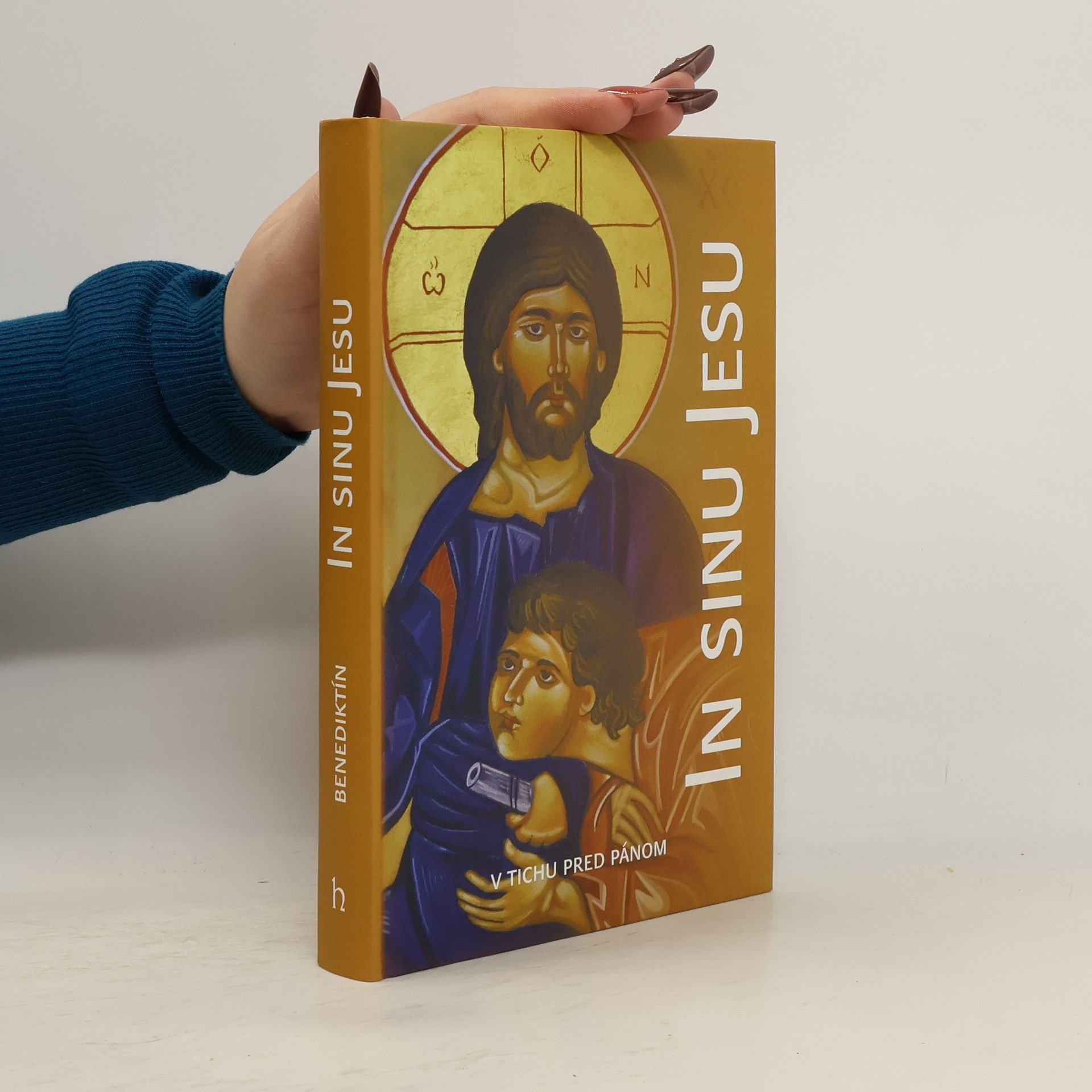 Kolektiv autorů In sinu Jesu