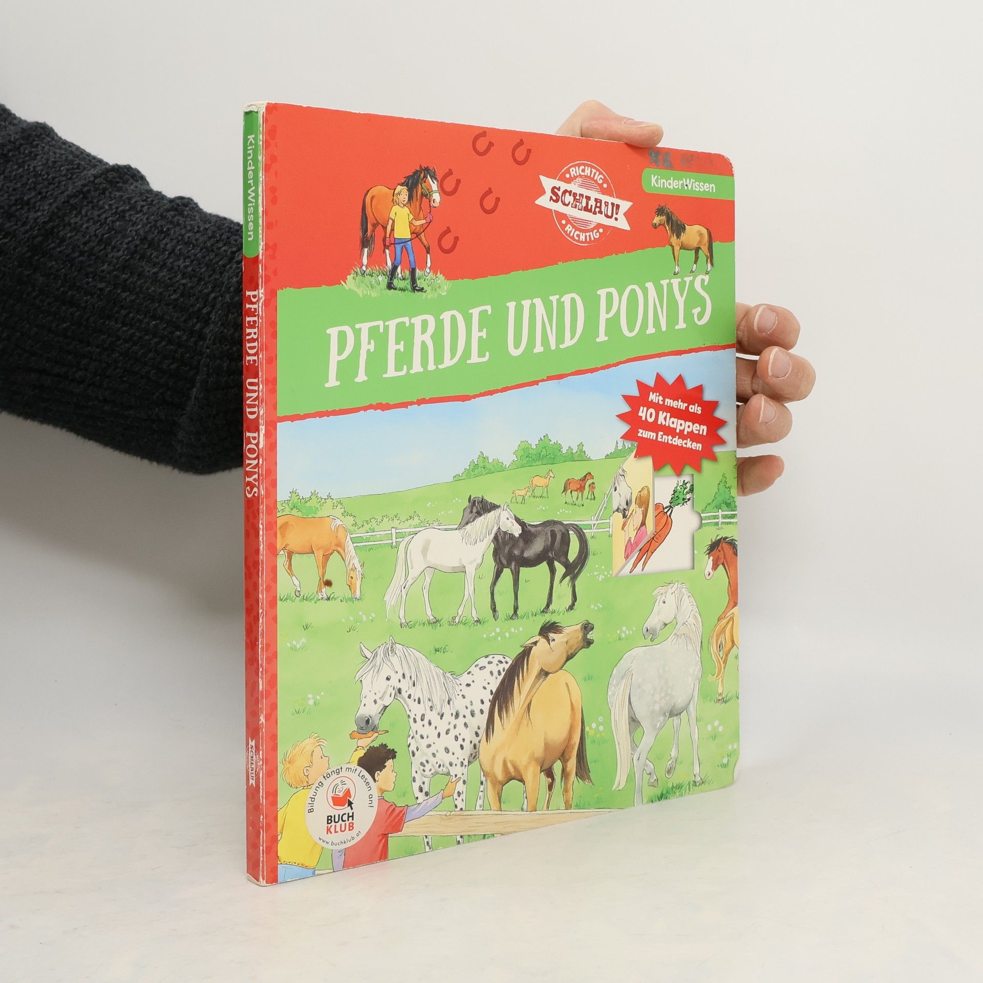 Astrid Vohwinkel Pferde und Ponys
