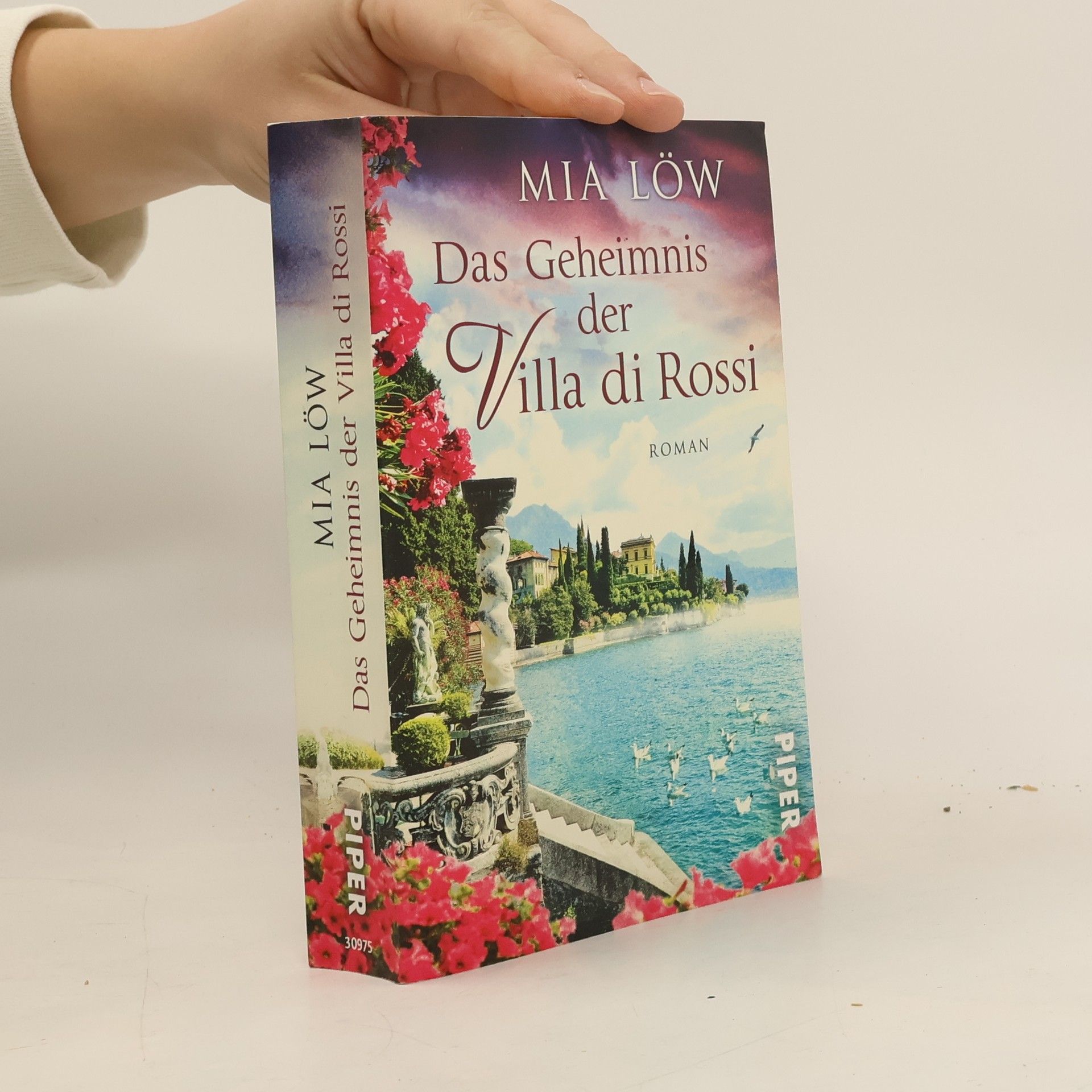 Mia Löw Das Geheimnis der Villa di Rossi