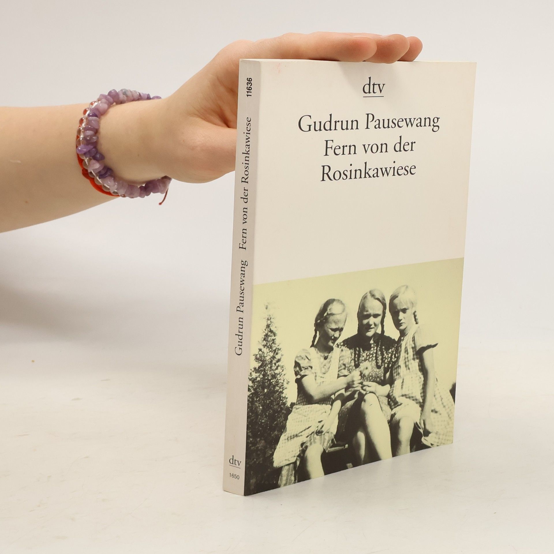 Fern von der Rosinkawiese