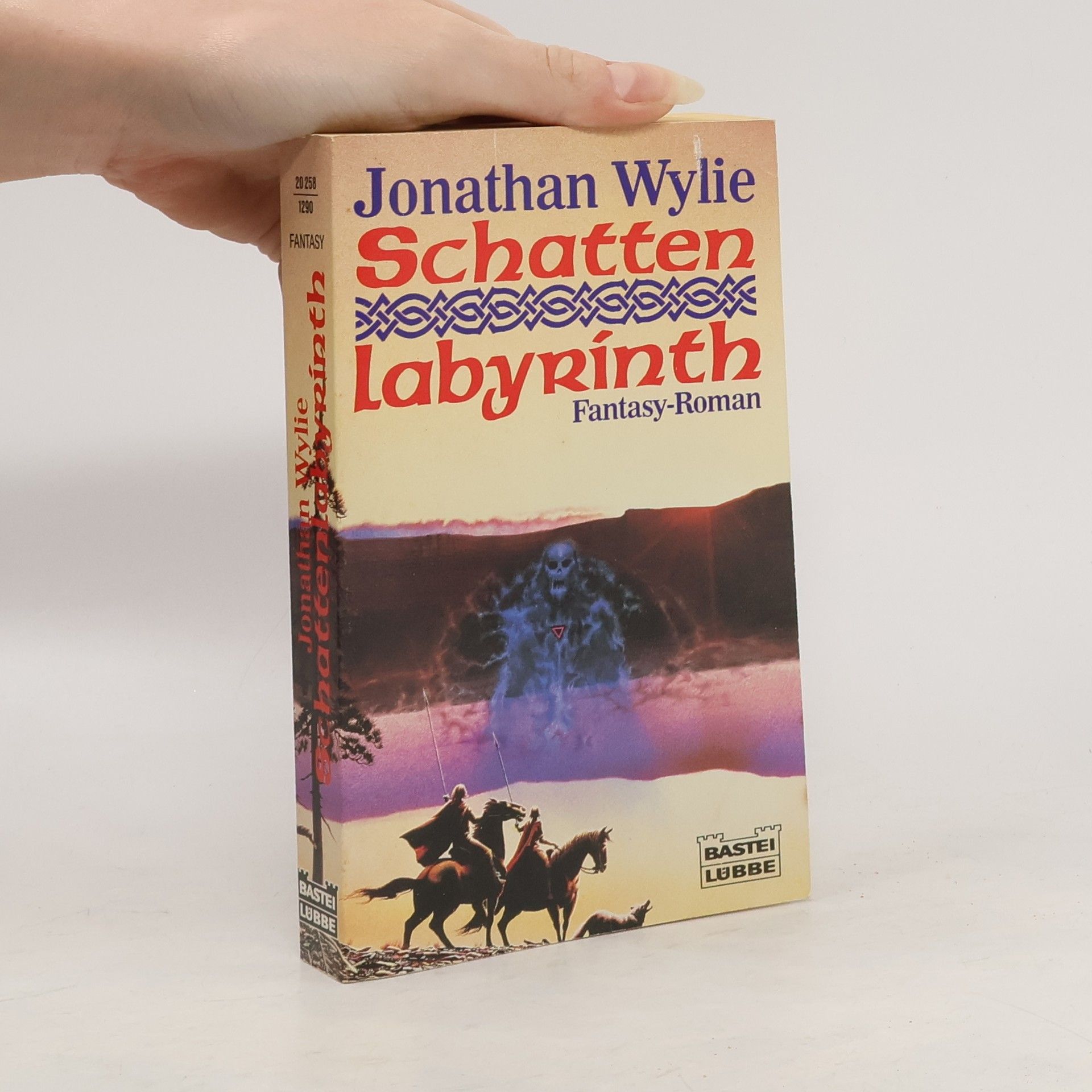 Jonathan Wylie Schatten-Labyrinth
