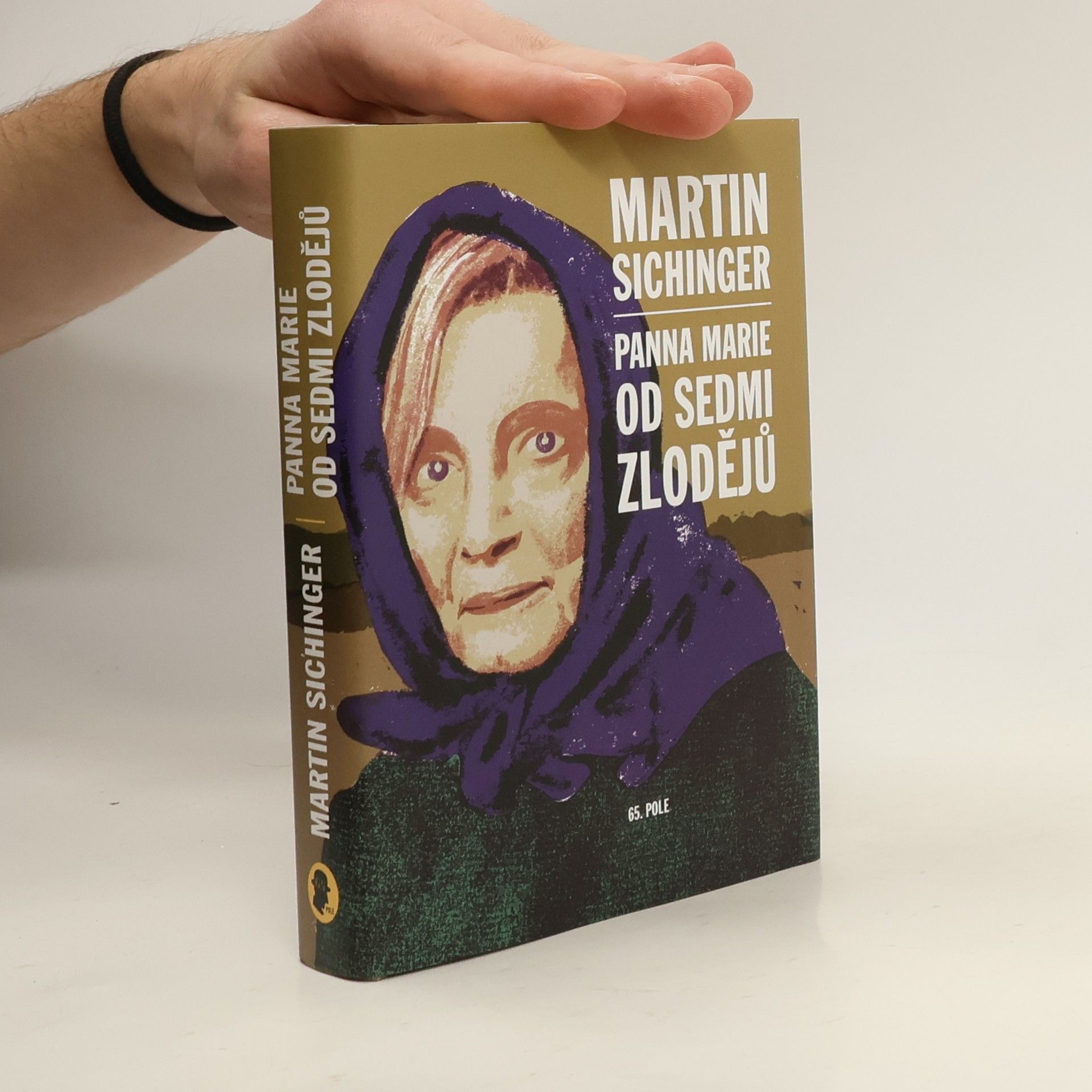 Martin Sichinger Panna Marie od Sedmi zlodějů