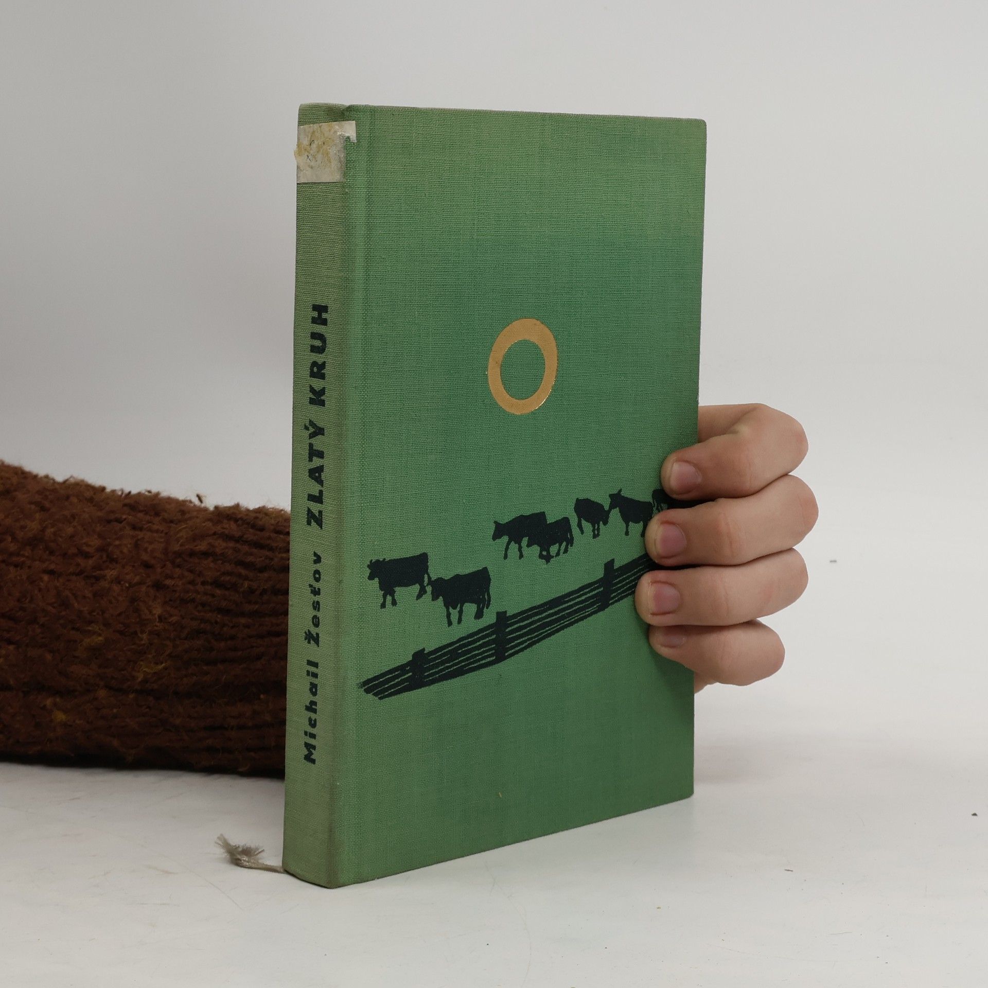 Michail Žestev Zlatý kruh