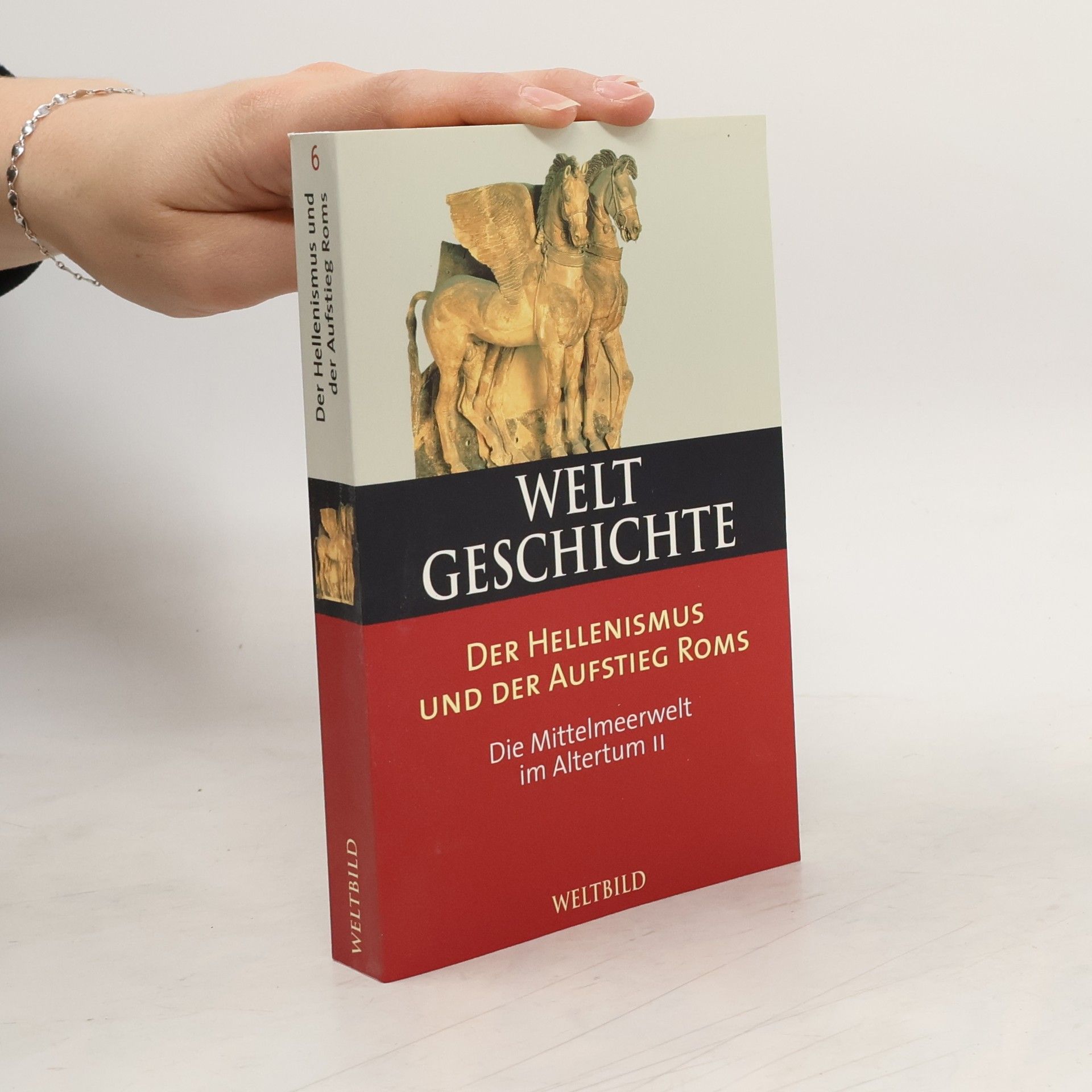 Collectif d'auteurs Weltgeschichte. Der Hellenismus und der Aufstieg Roms 6