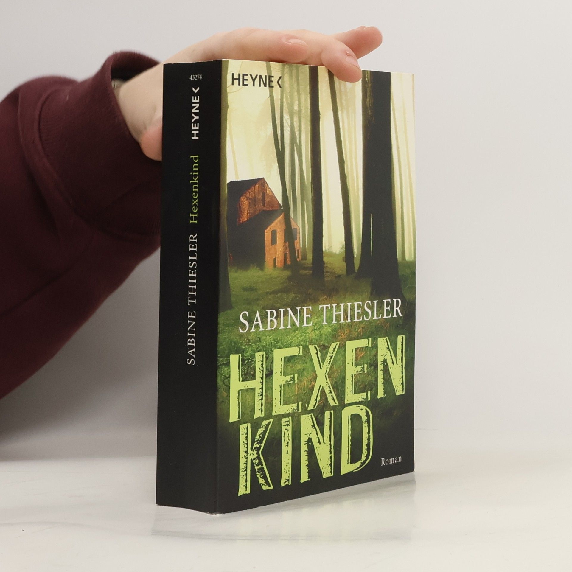 Sabine Thiesler Hexenkind - Roman