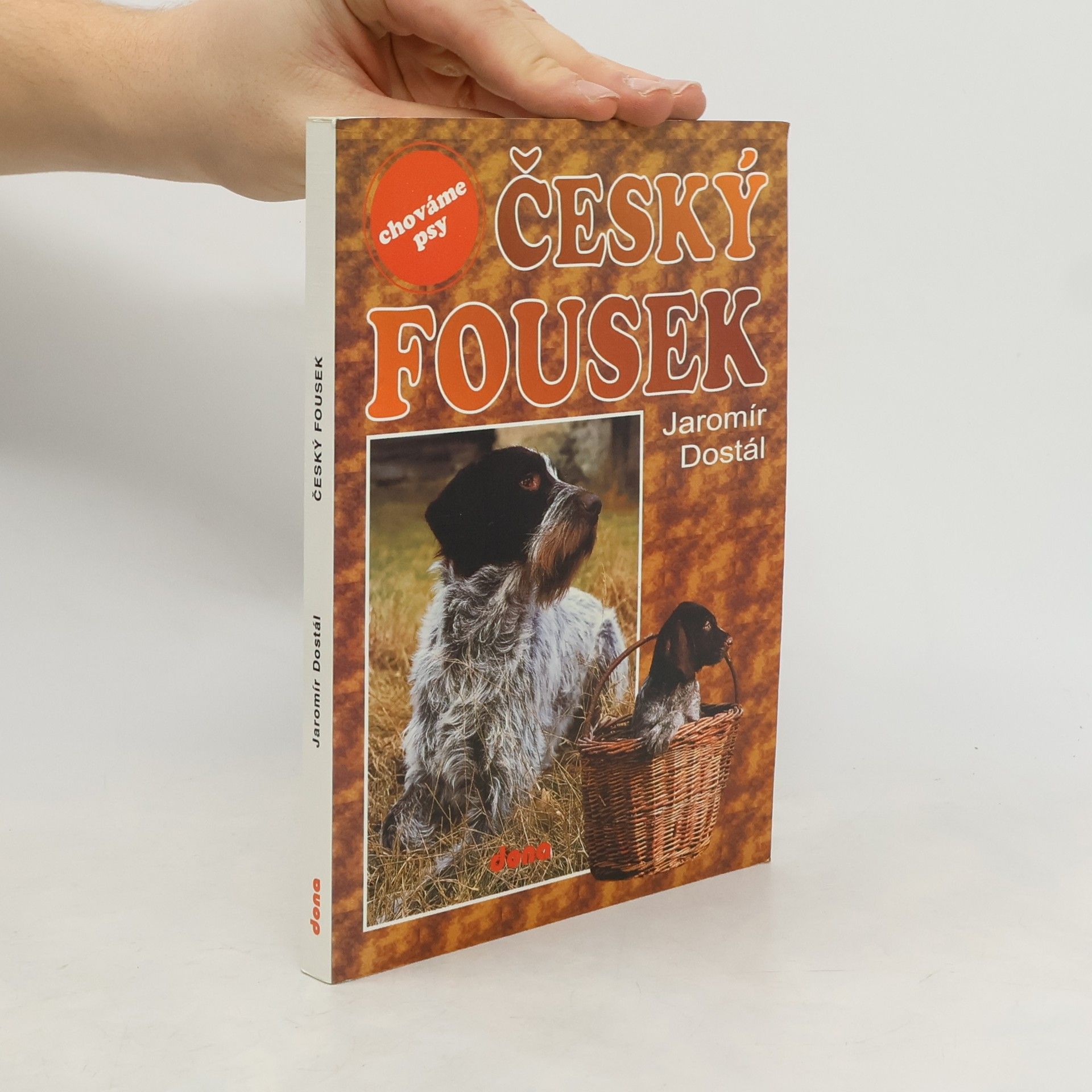 Český fousek