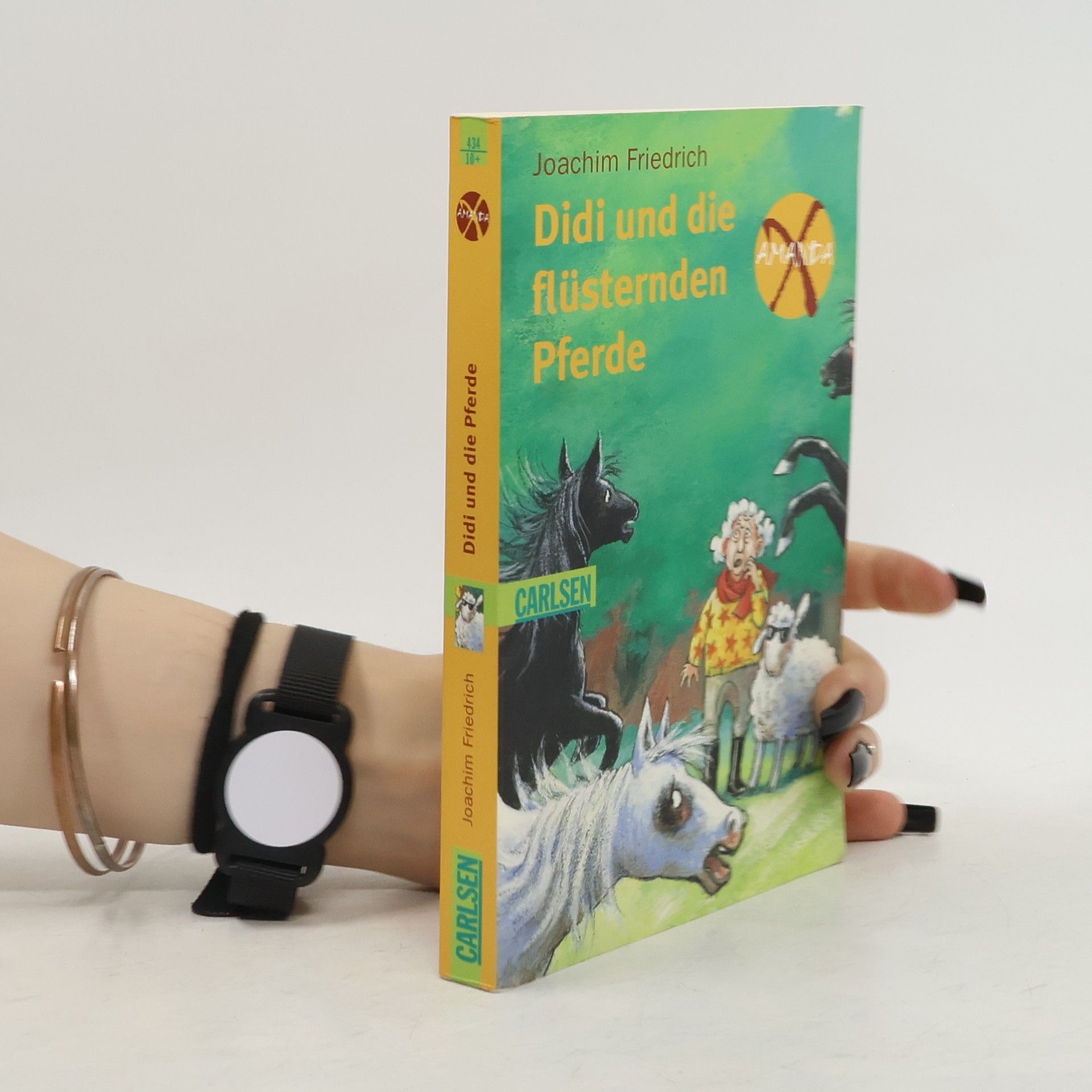 Didi und die flüsternden Pferde. Amanda X